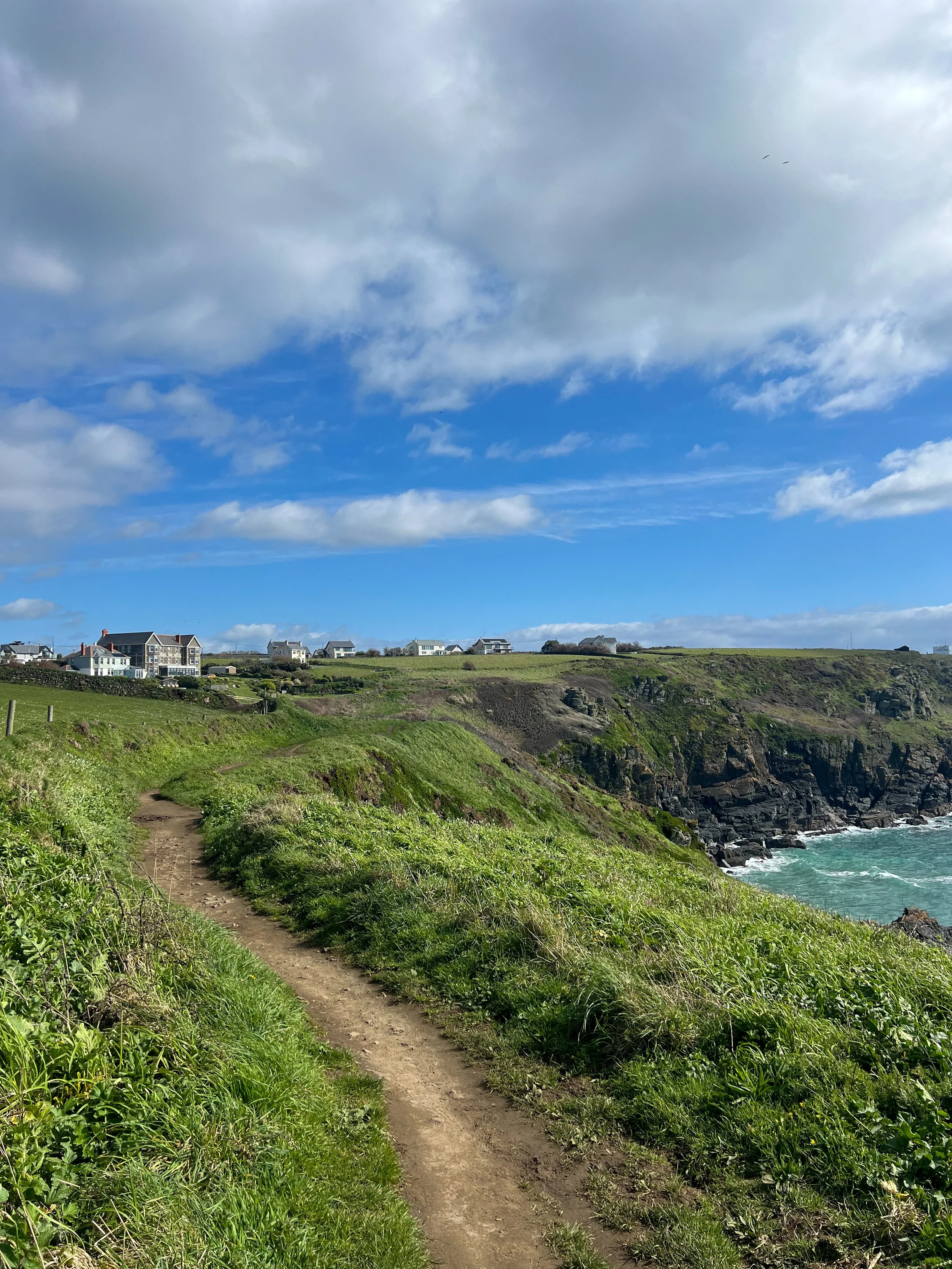 Why Visit The Lizard This Spring?