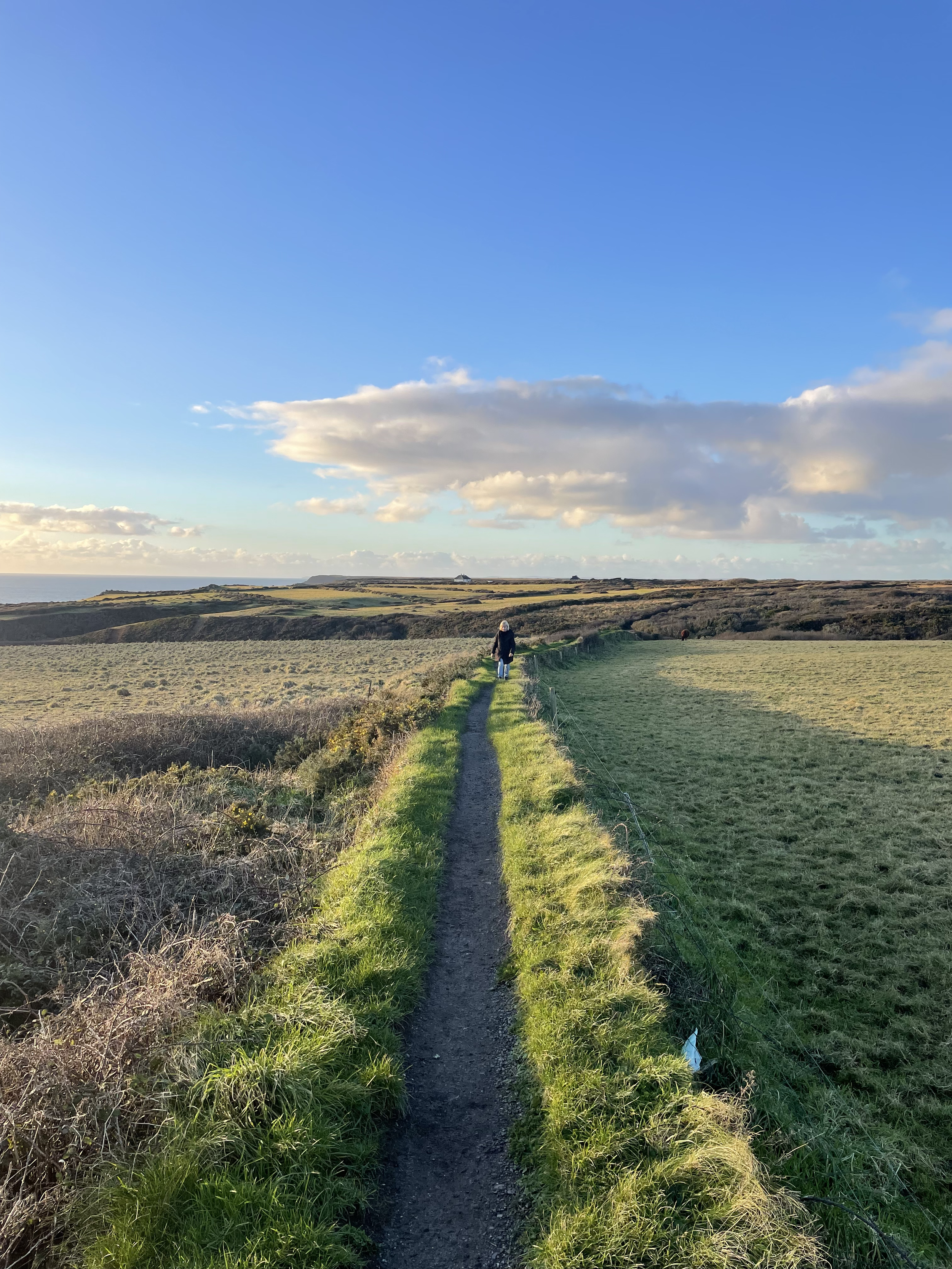 What’s on This Spring at Housel Bay