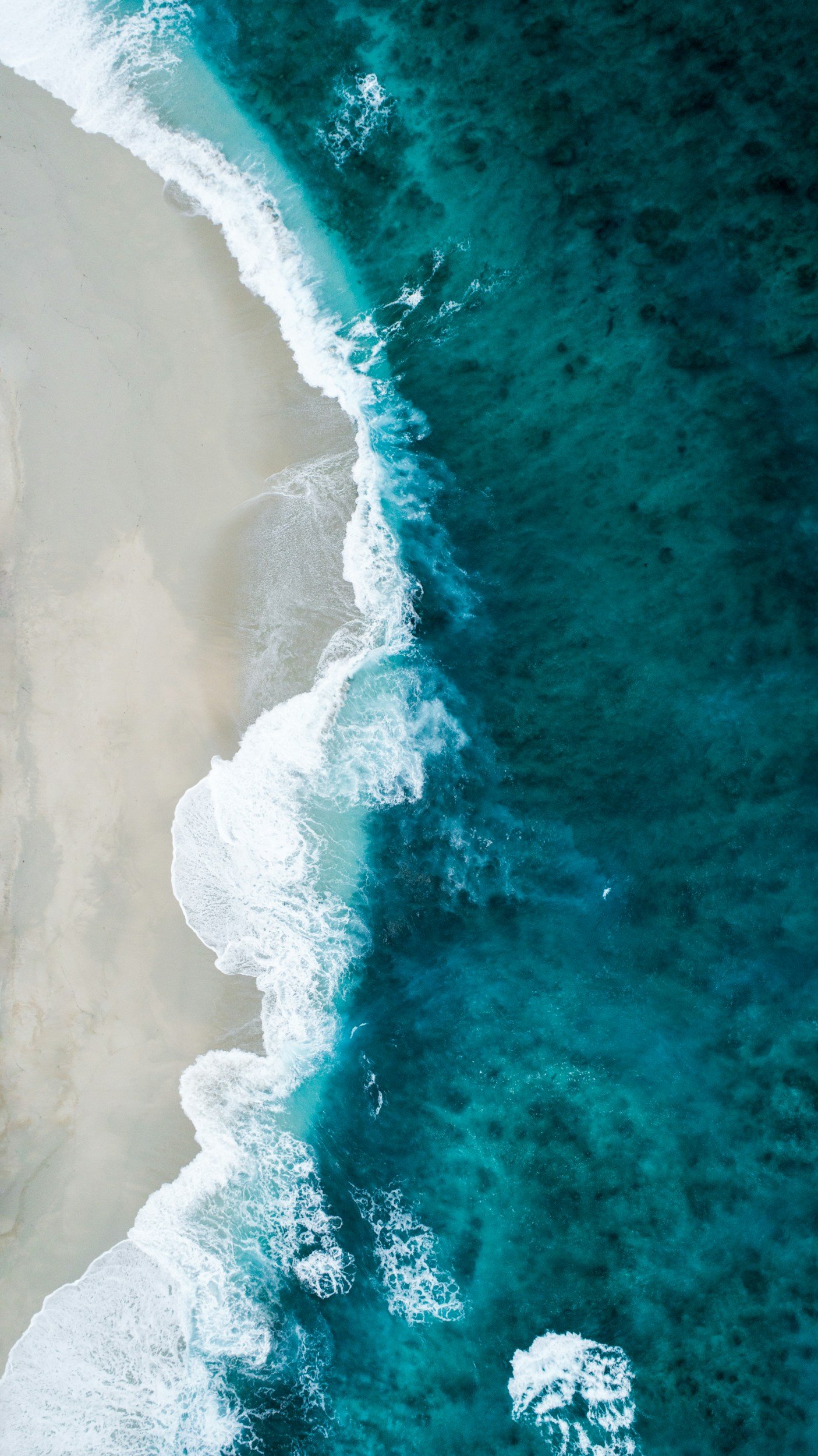 What the Ocean Taught Me About Restraint