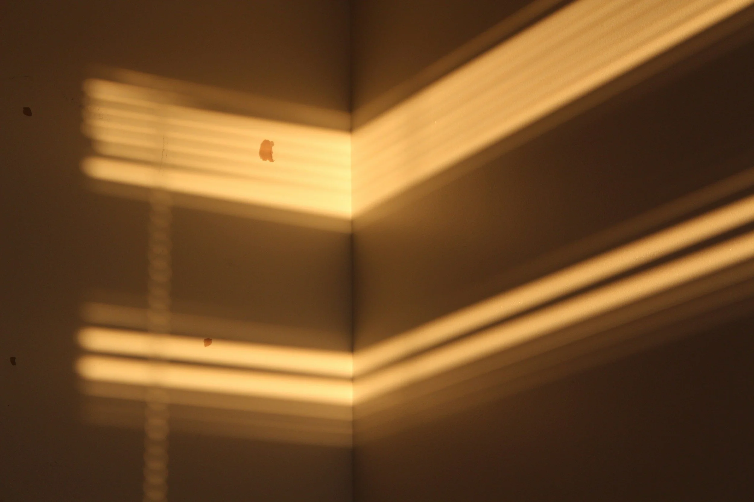 The Room No One Photographs