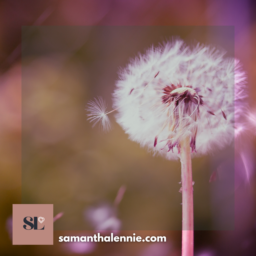 MM10. Know your Sovereign Self (powerful clearing for when you're rejecting yourself and your magic)