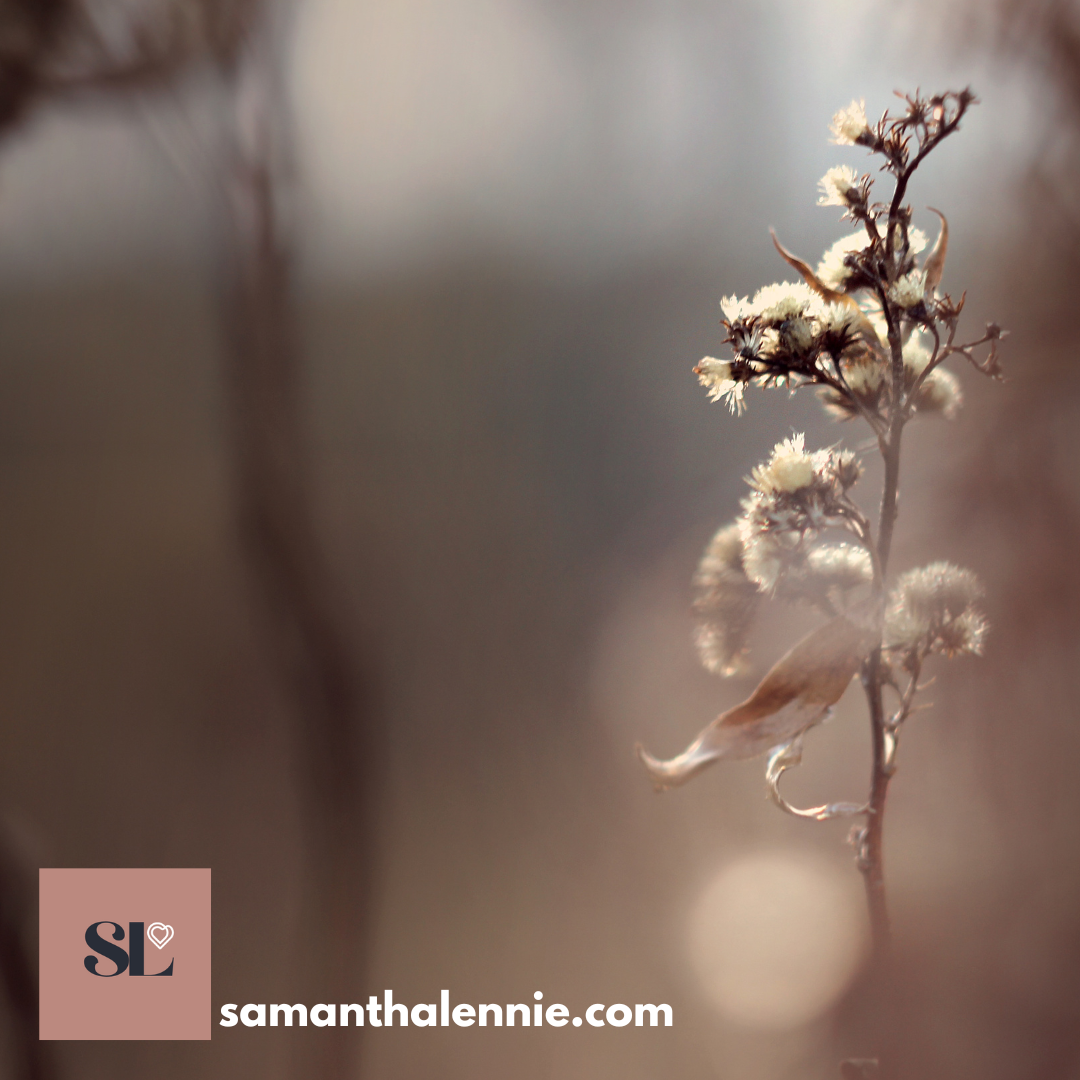 MM3. Release Sadness - A meditation to find acceptance and peace