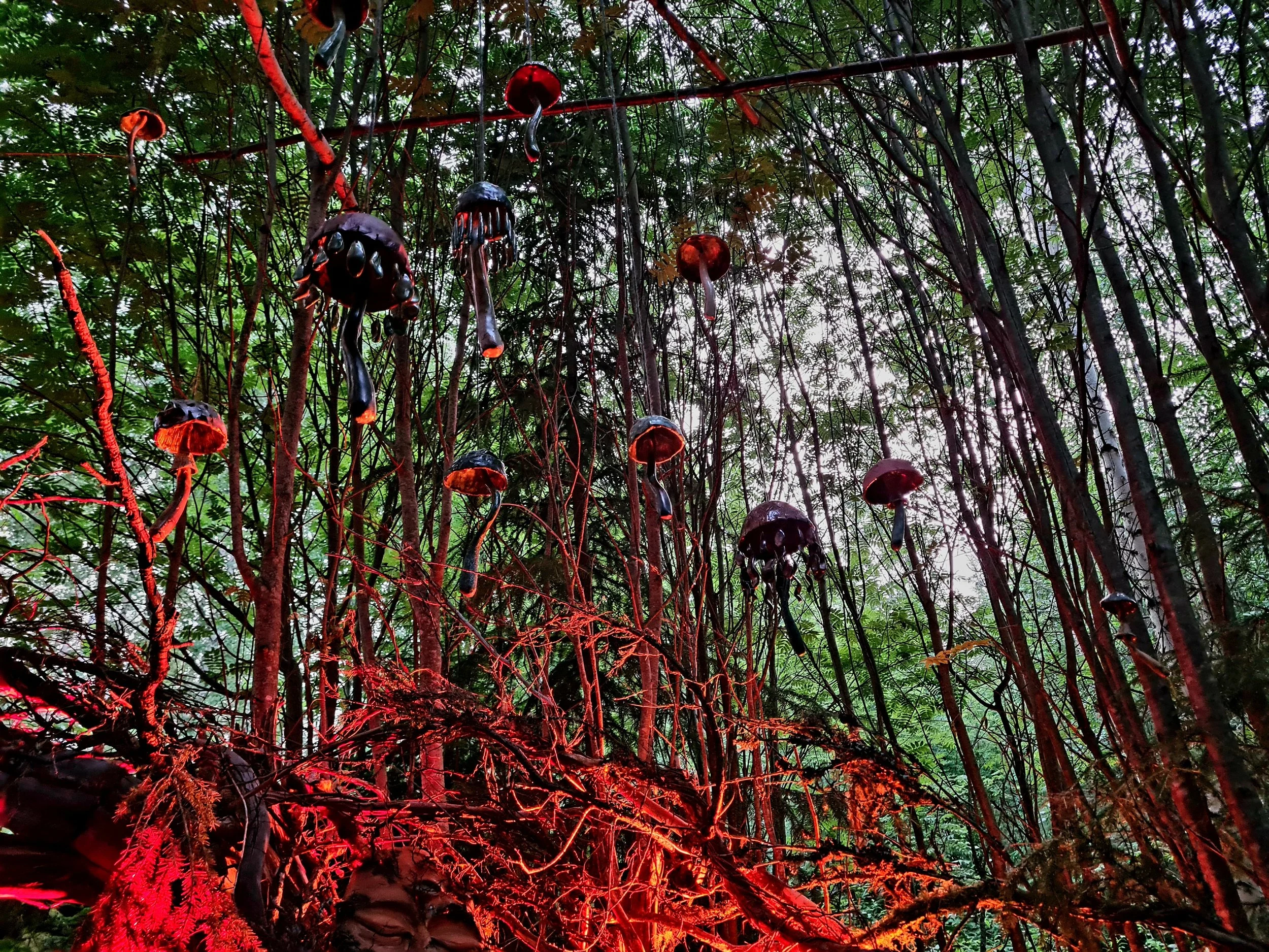 2025.07.10 Kosmos Festival (102).jpg