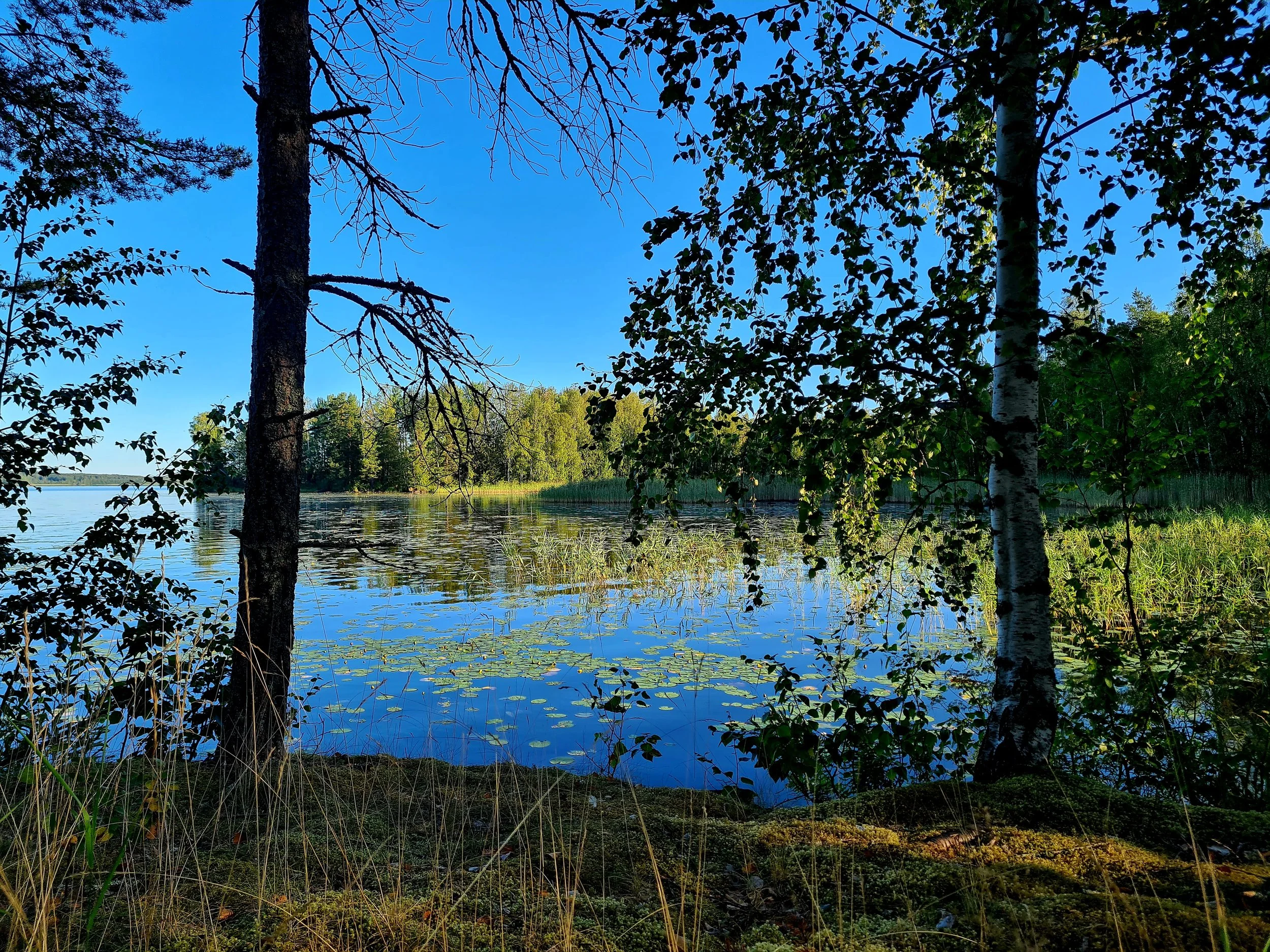 2025.8.14 Röskö 3.jpg