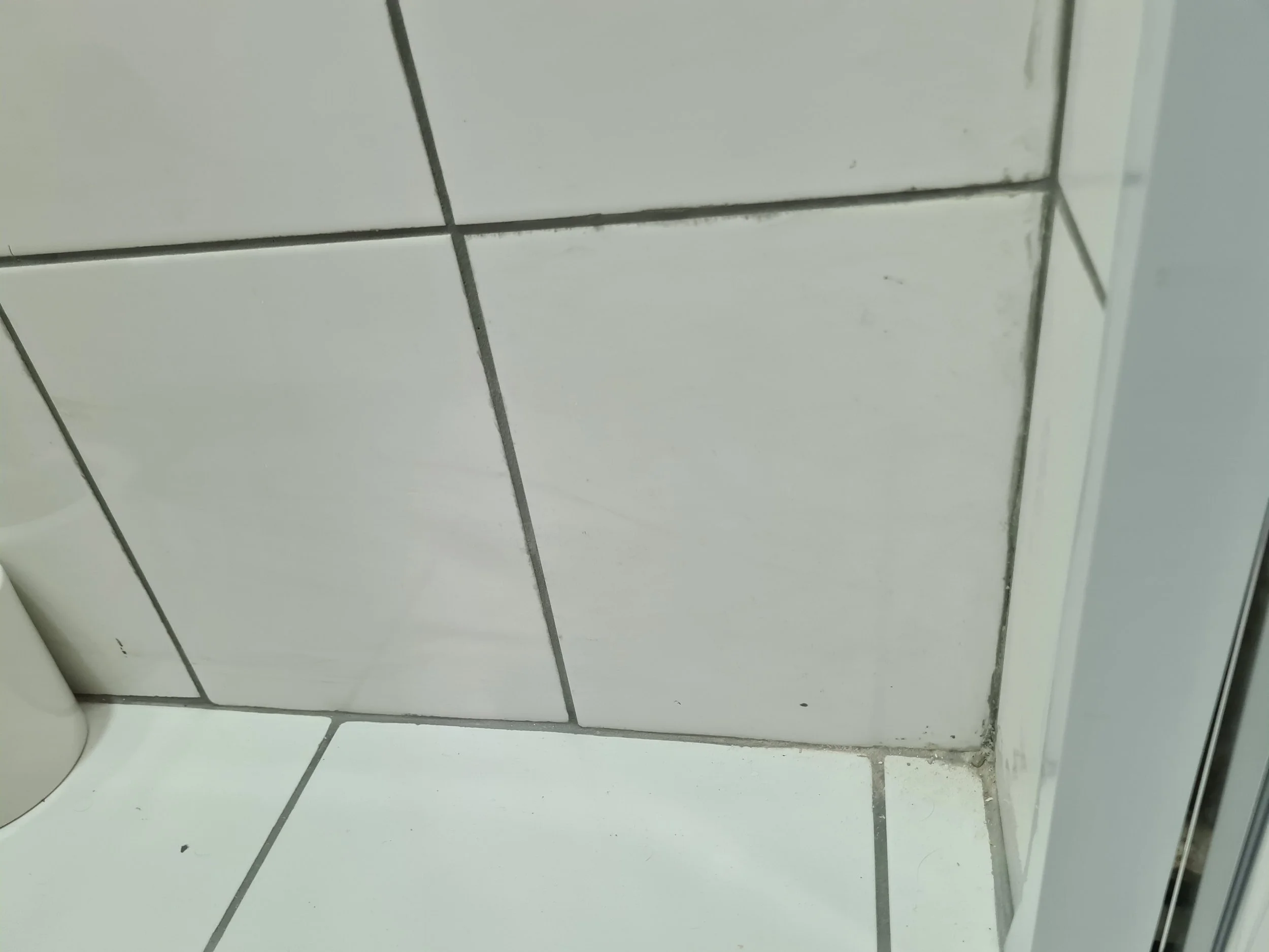 wc1.jpg