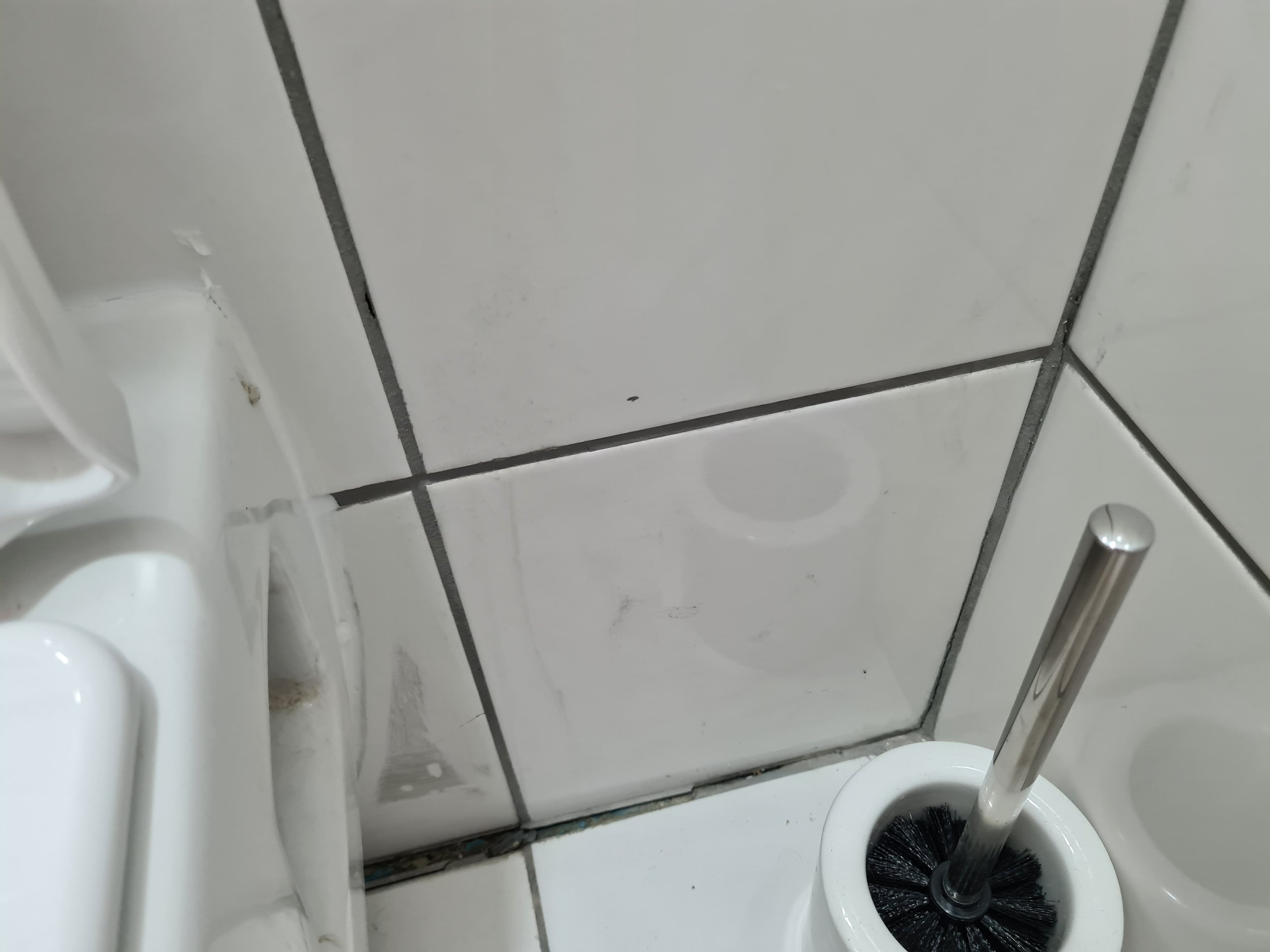 wc2.jpg