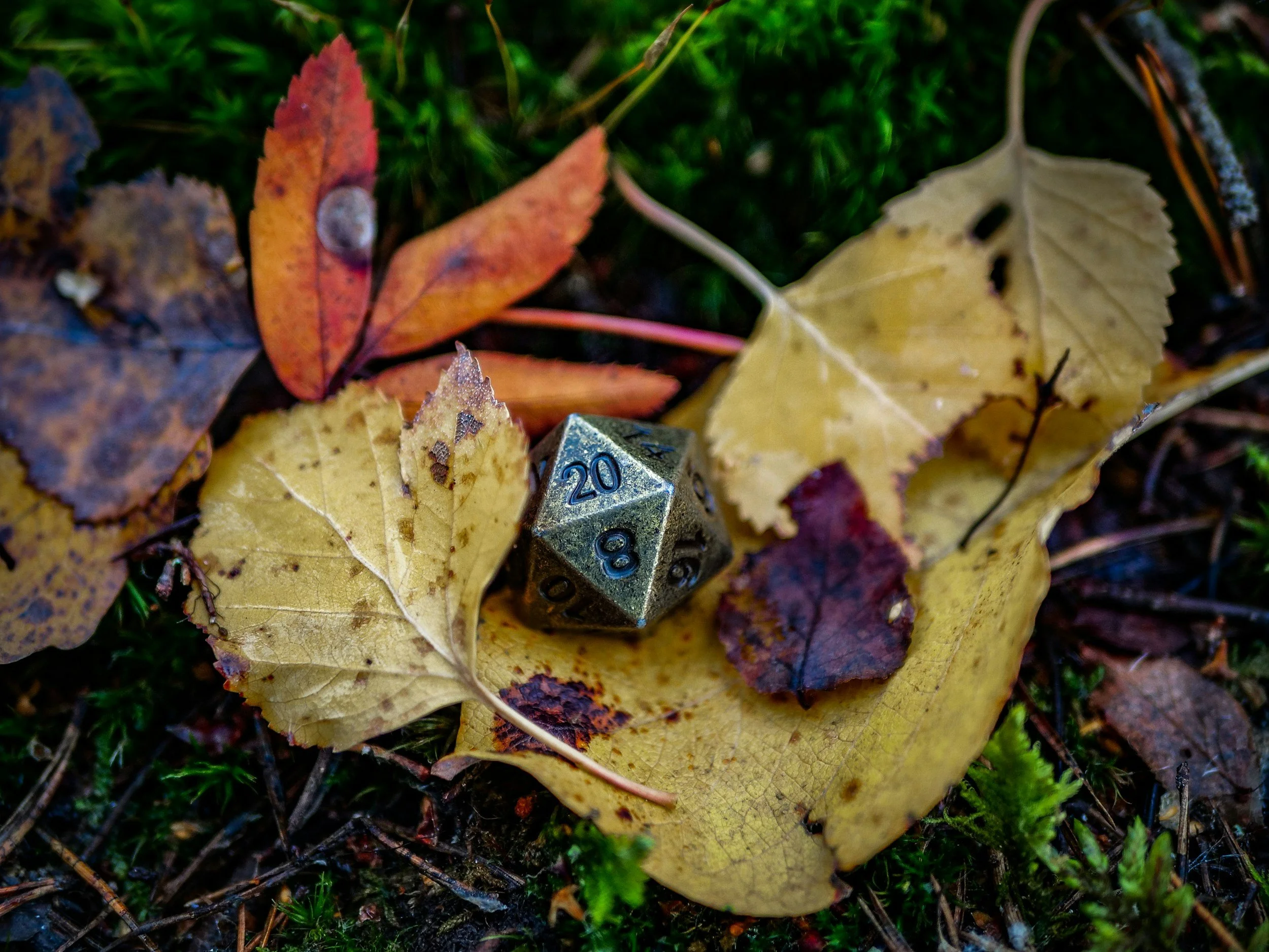 The Magic of Tabletop Roleplay