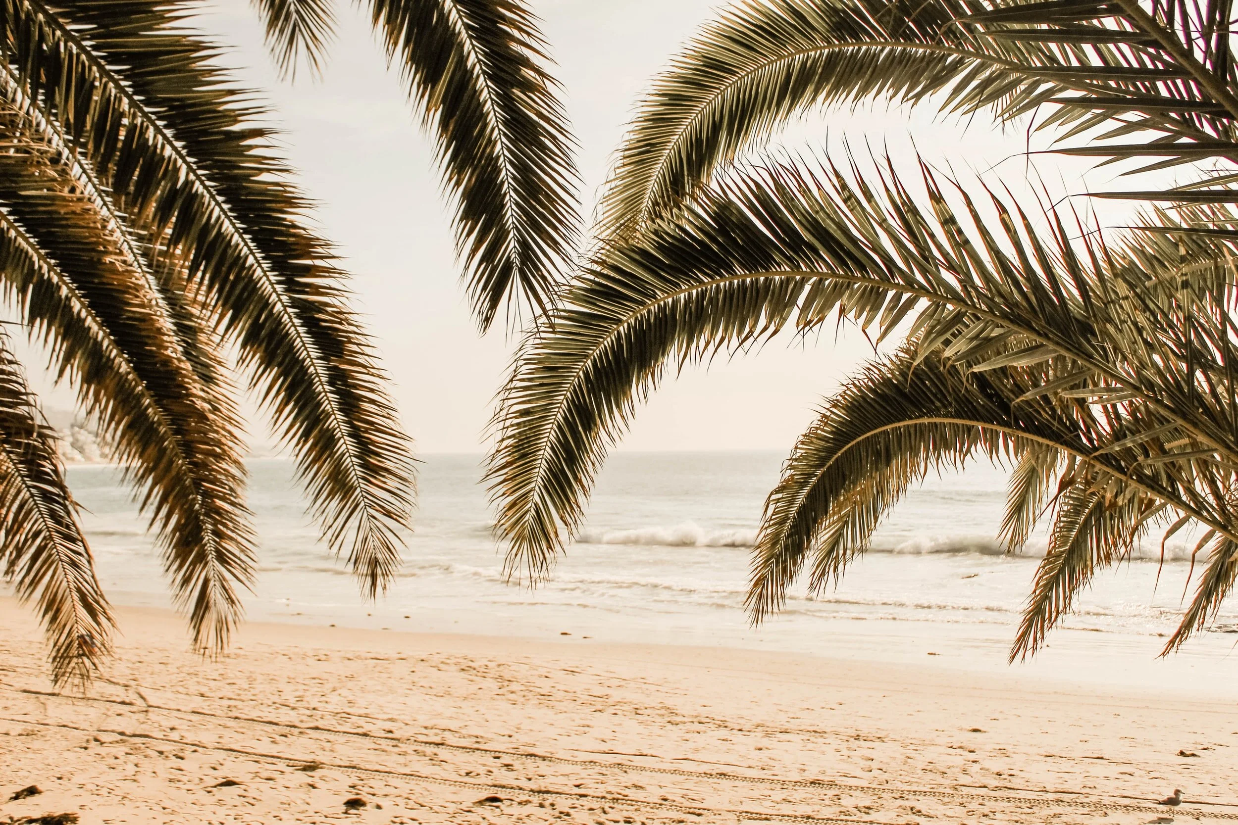 5 reasons why you don´t change - and one thing you can do about it!