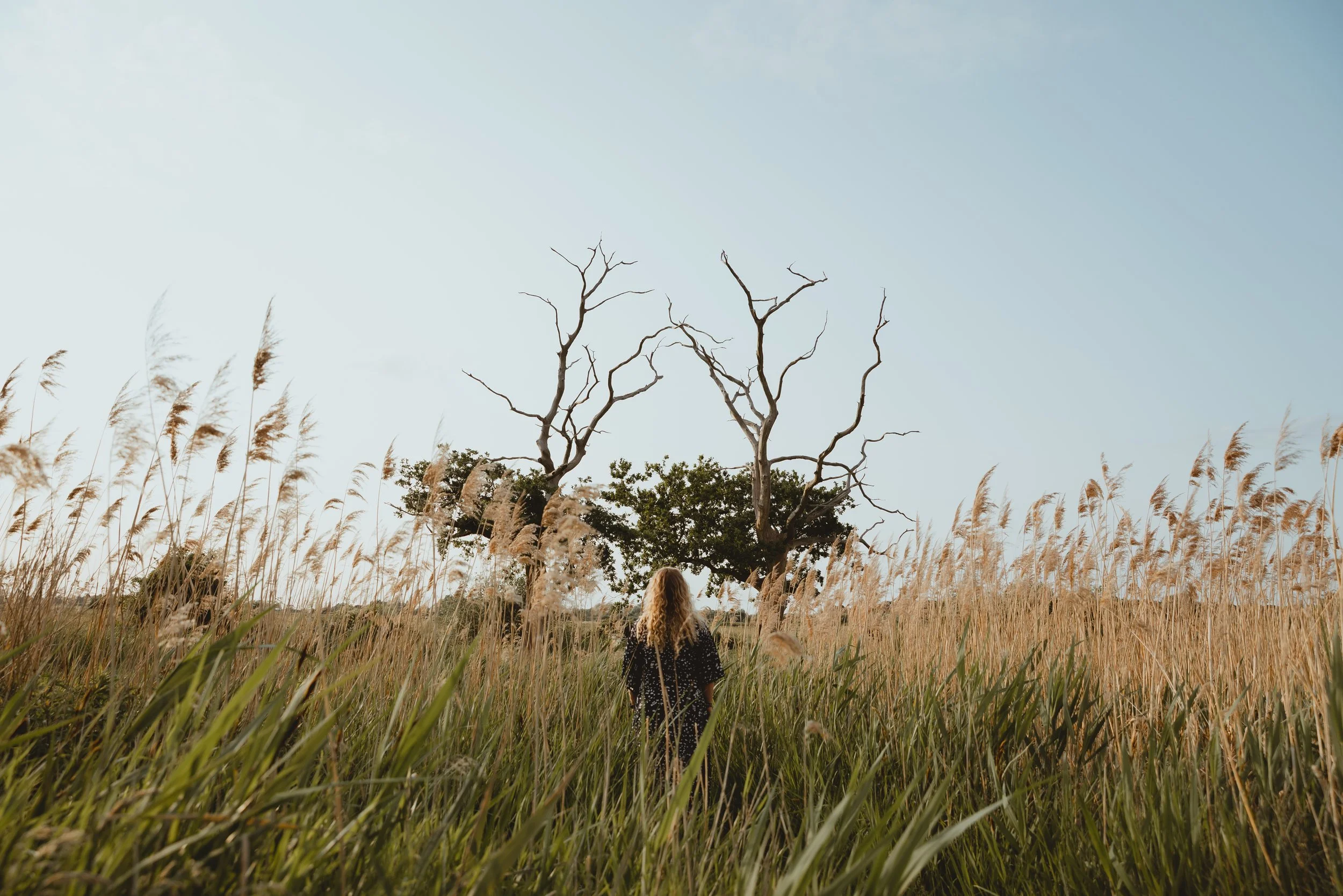 Cinematic wideshot of a woman alone at Carlton Marshes Lowestoft Suffolk lookig up at two spindly trees in a golden field 