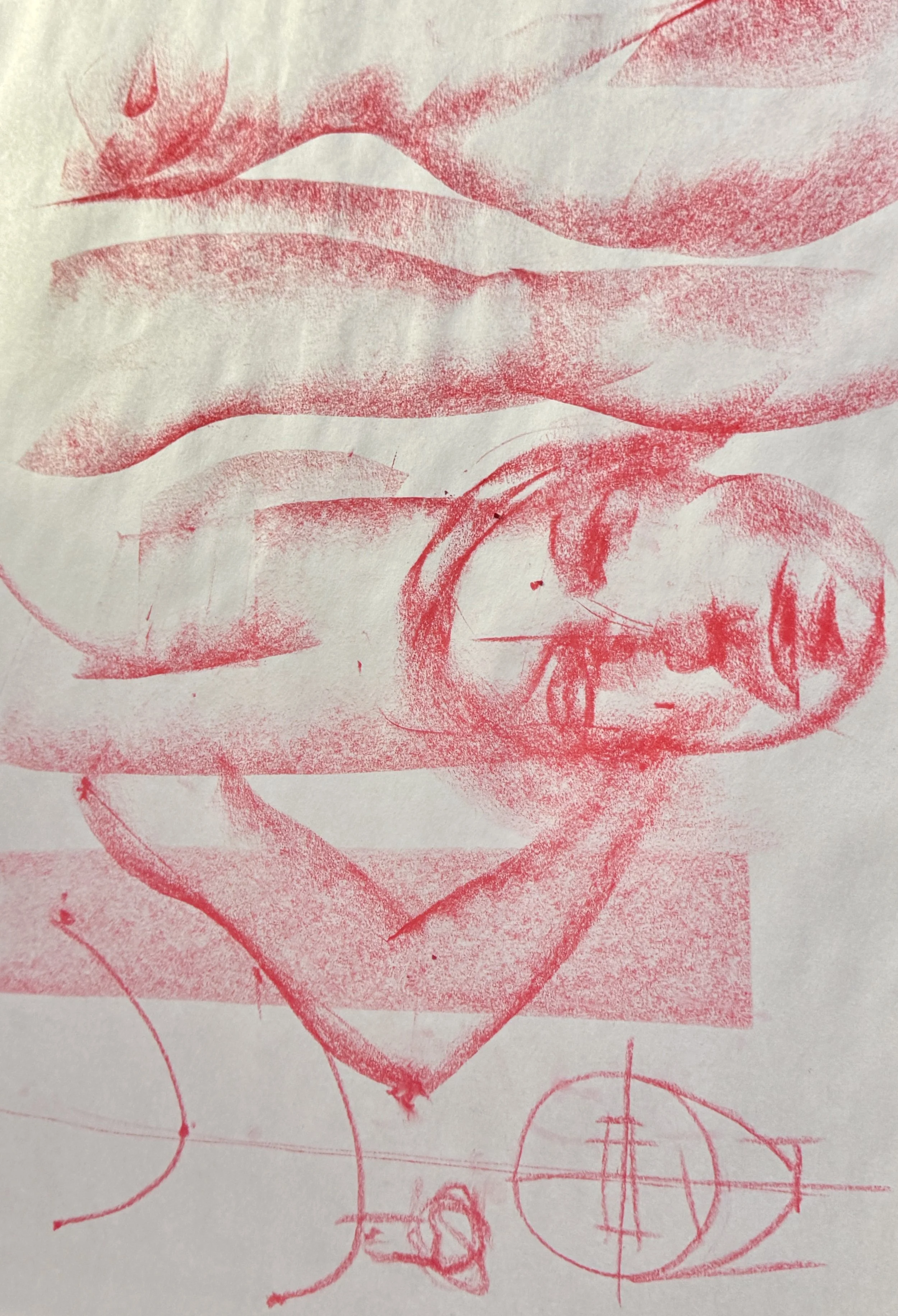 IMG_7449.jpeg
