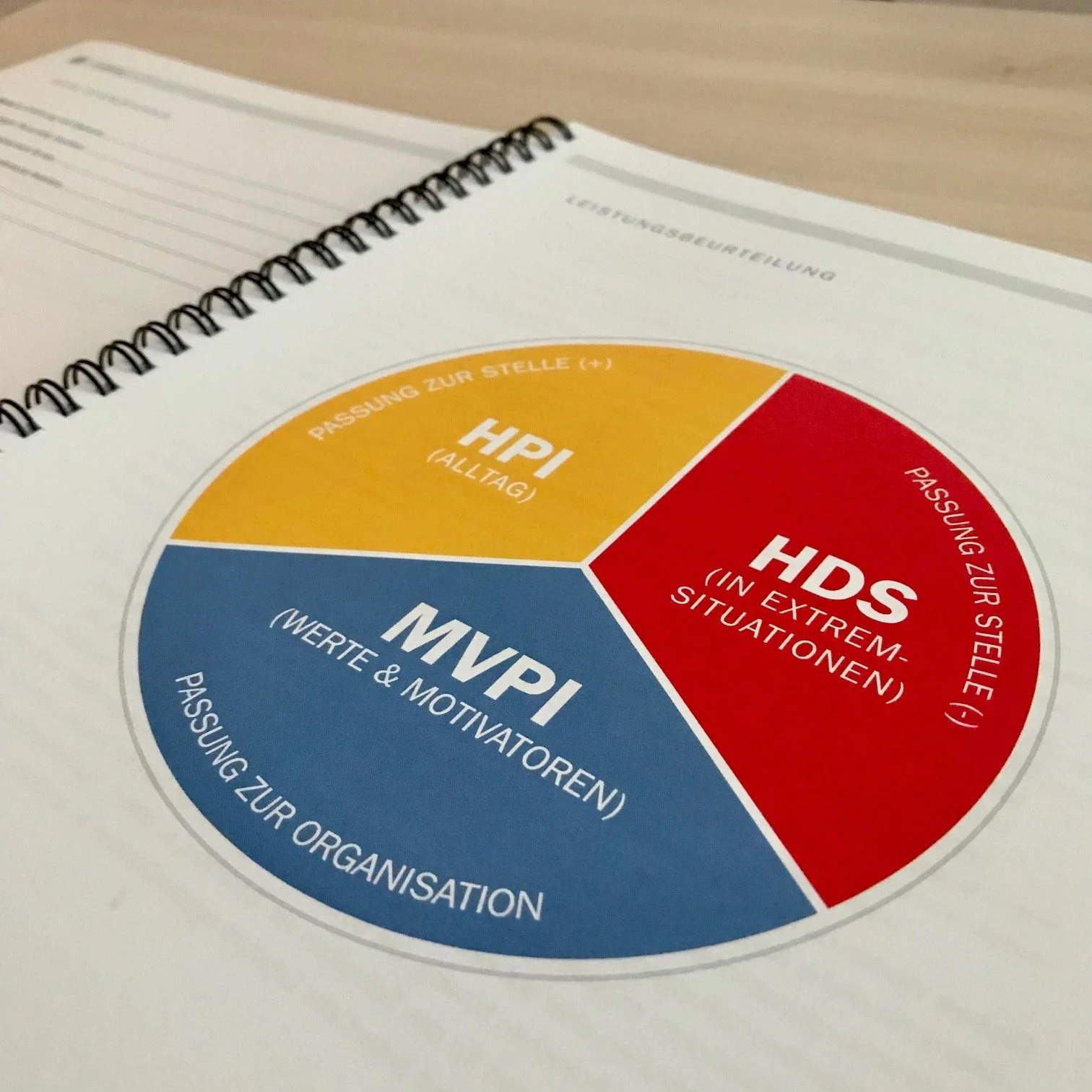 Potentialanalyse für Führungskräfte mit Hogan Assessments — Silke Langbehn