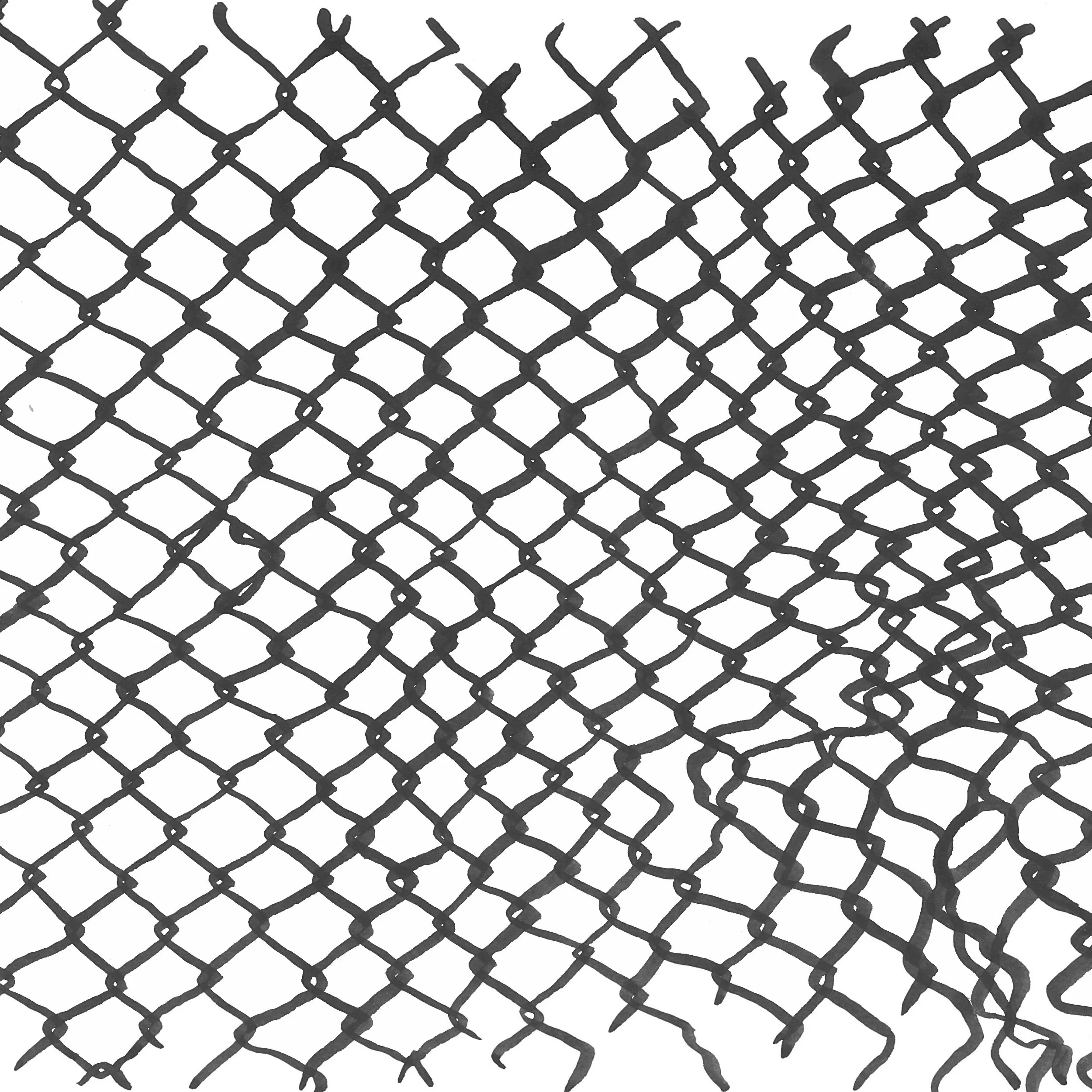 hopping-the-fence-8.jpg