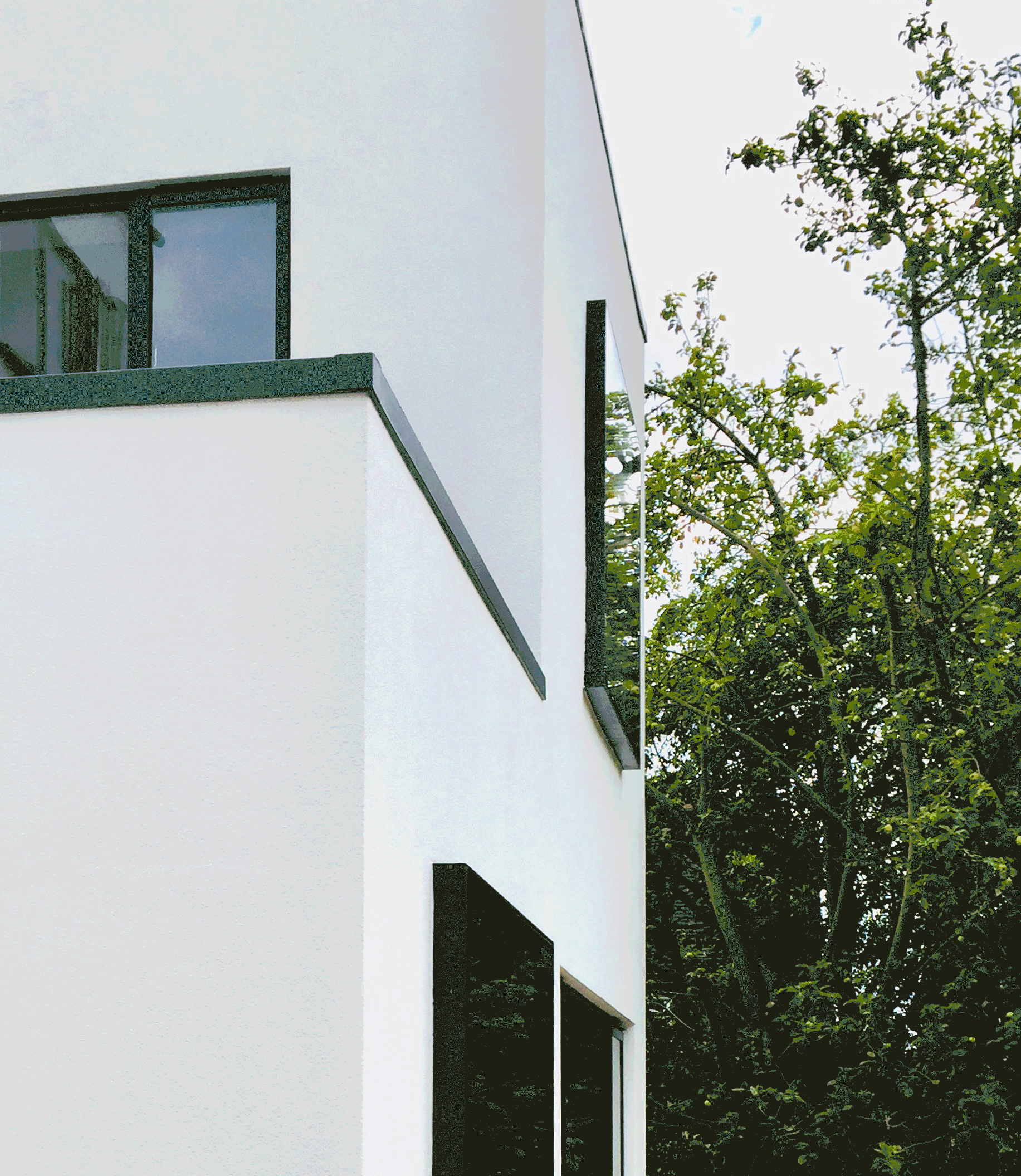 Close-up of a modern white building with black window frames and a tree with green leaves in the background.