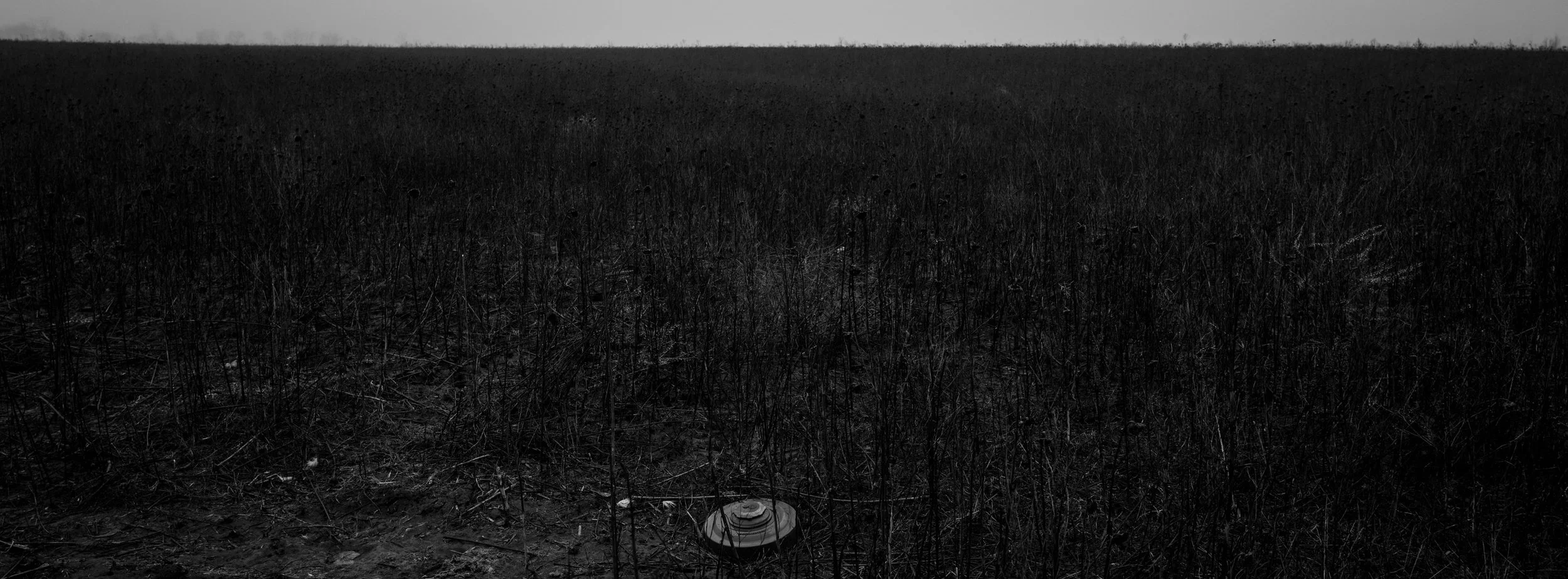 Ukraine.Mines.2024.013778.JPG
