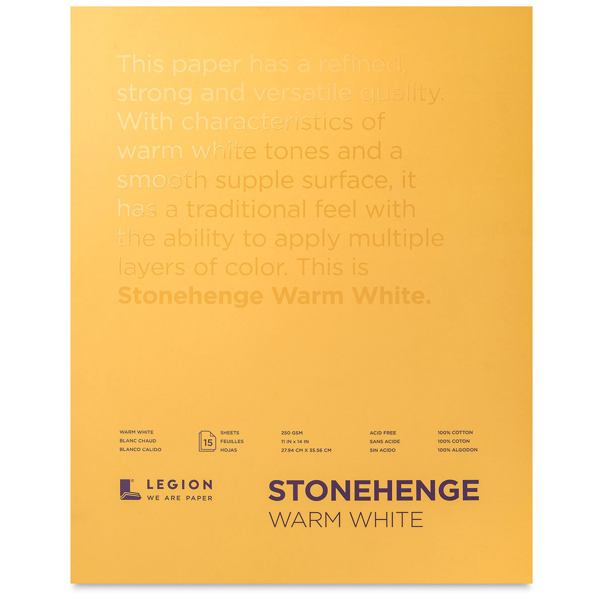 Stonehenge Aqua Paper 22 X 30 300Lb Cp White