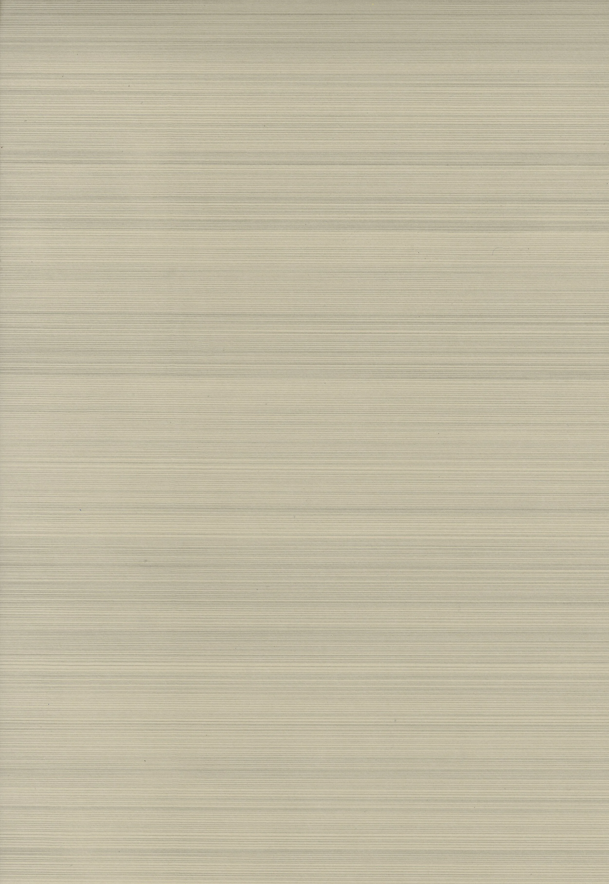 Silent Series 07, 2019, 38.5 x 56, drawing on Somerset Sand paper