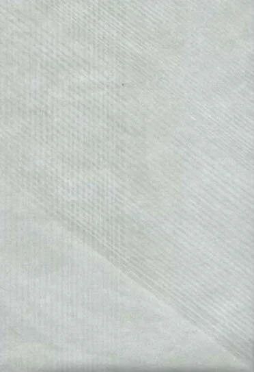 Untitled 00*, 2019, 31.5 x 46cm, woodblock on Toshi Washi paper