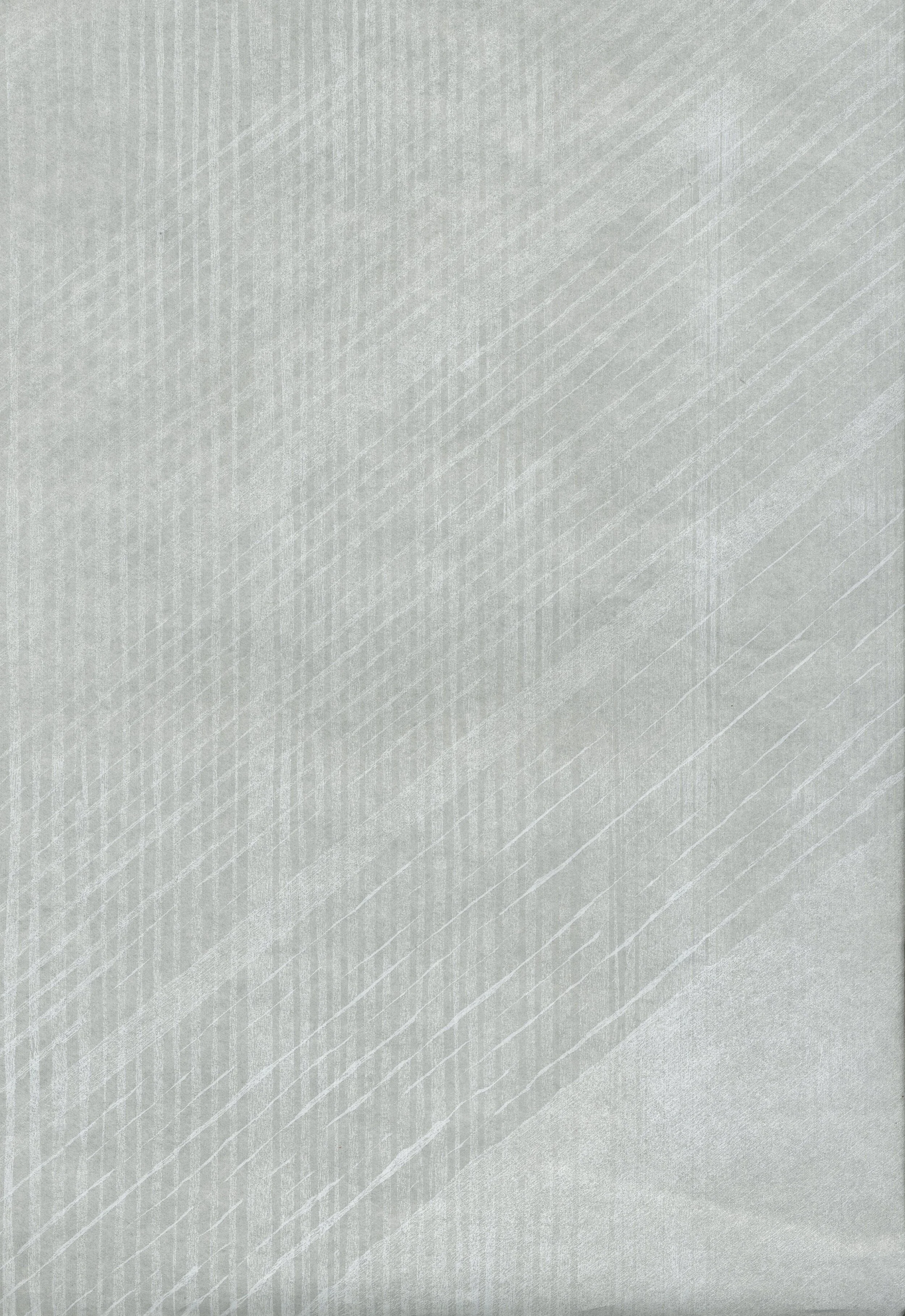 Untitled 00*, 2019, 31.5 x 46cm, woodblock on Toshi Washi paper