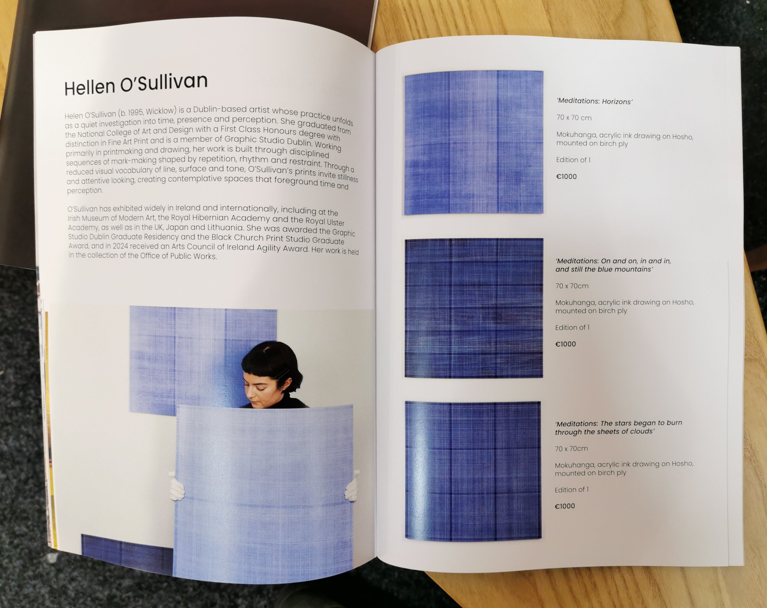 Outset Gallery, Art Evolve Catalogue Feature, 2026