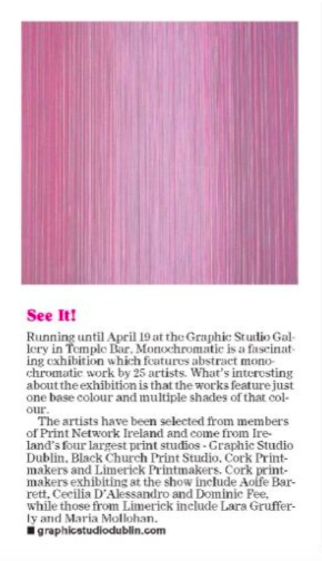 'Monochromatic', Graphic Studio Gallery, Irish Examiner, March Issue 2024.