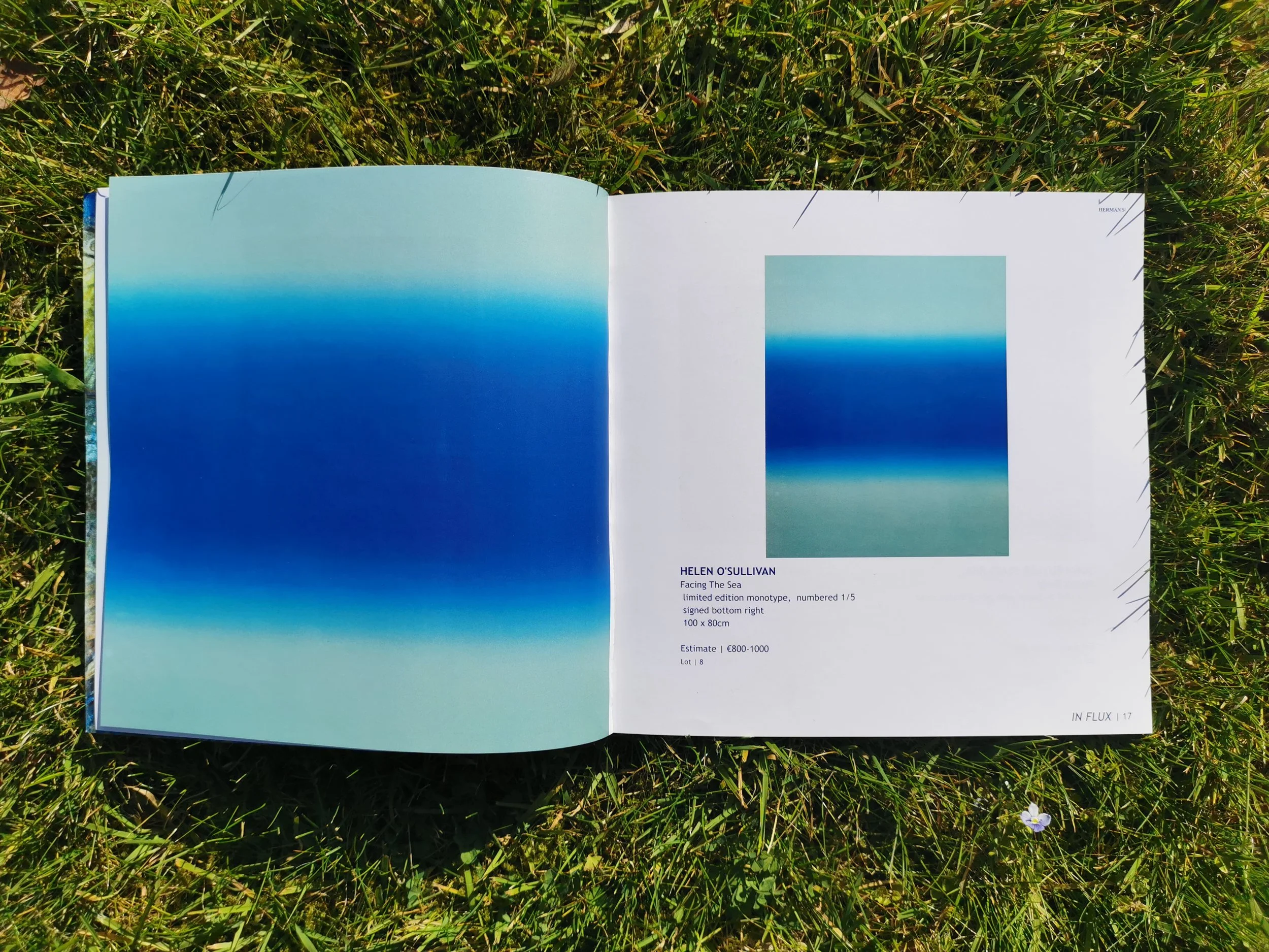 In Flux, Herman's Auctioneers, Exhibition Catalogue Feature, 2025