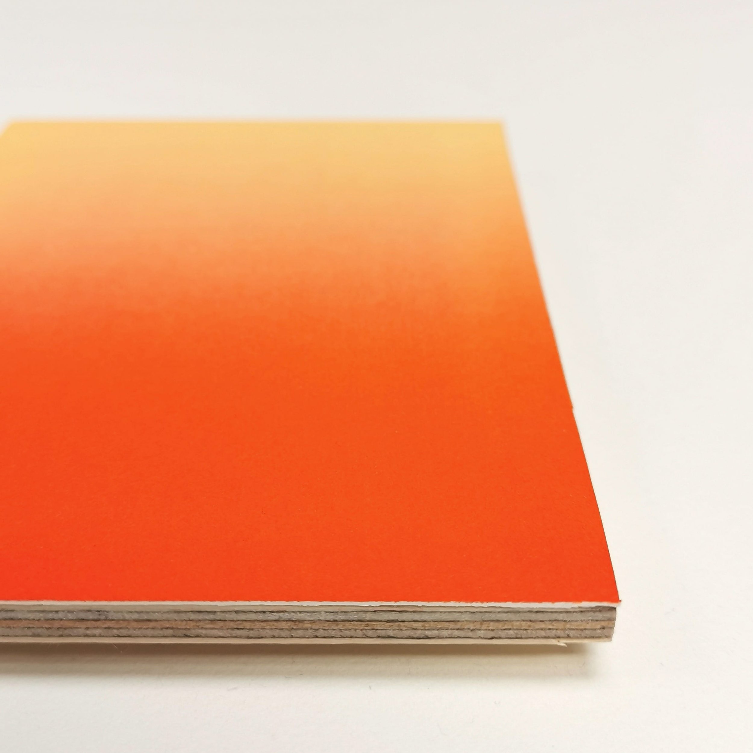 somethingcomesbeforenothing-diptych-photointaglio-14x22cm-helenosullivan-2024-detail.jpg
