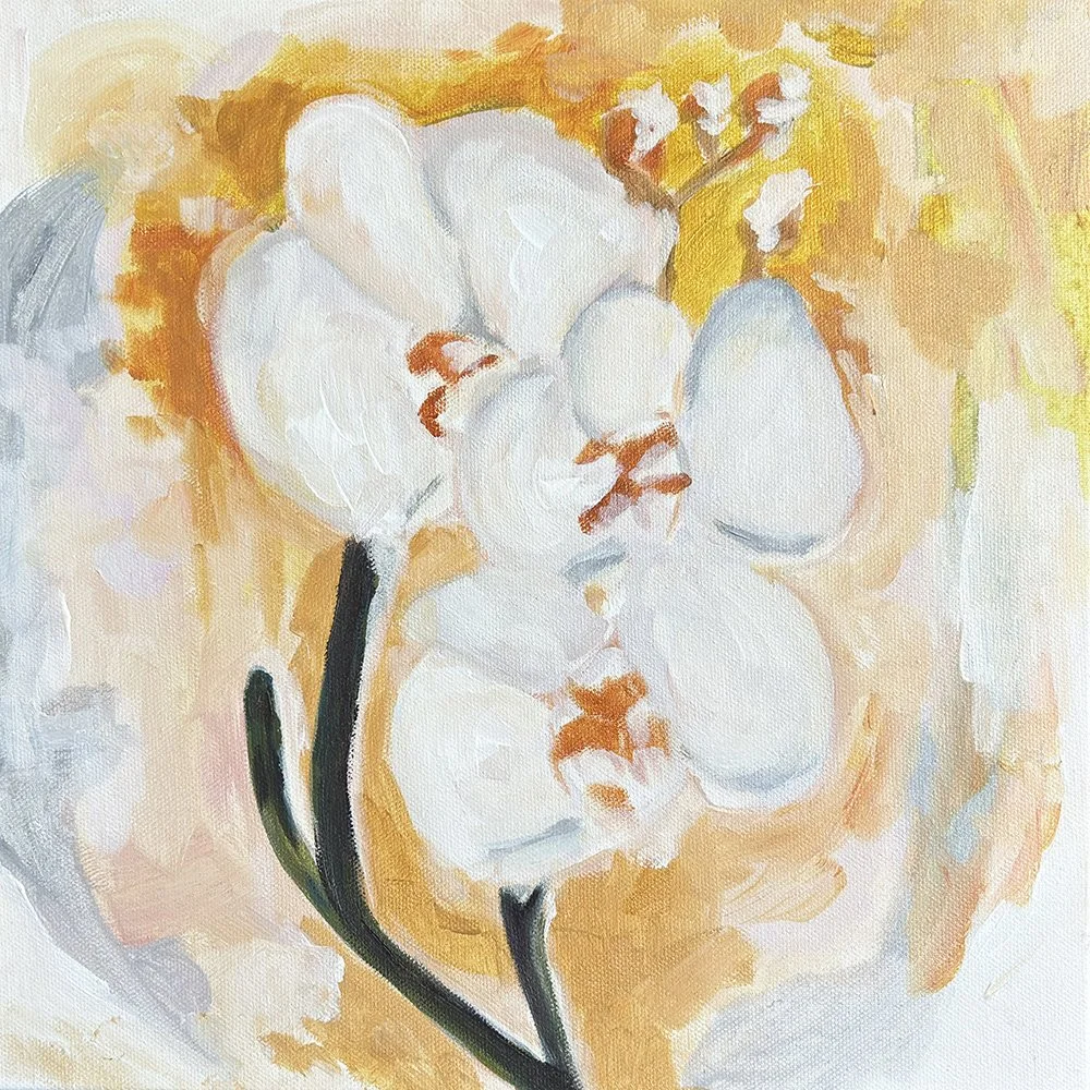 FlowerSeries2of3Orchids_SMALLIMG.jpg