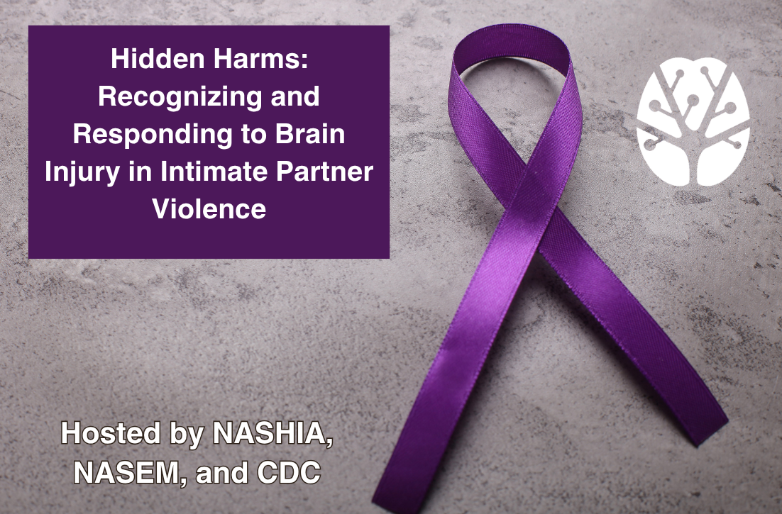 Hidden Harms: Recognizing and Responding to Brain Injury in Intimate Partner Violence