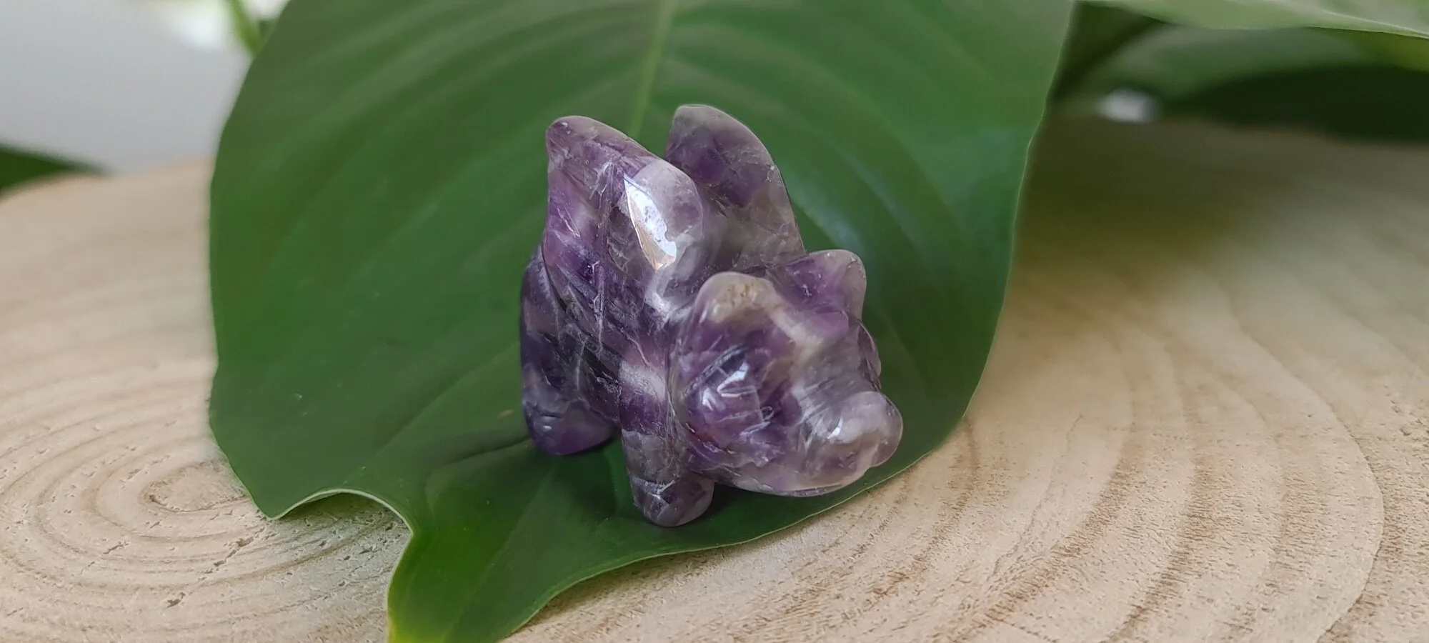 chevron-amethyst-wing-pig-2