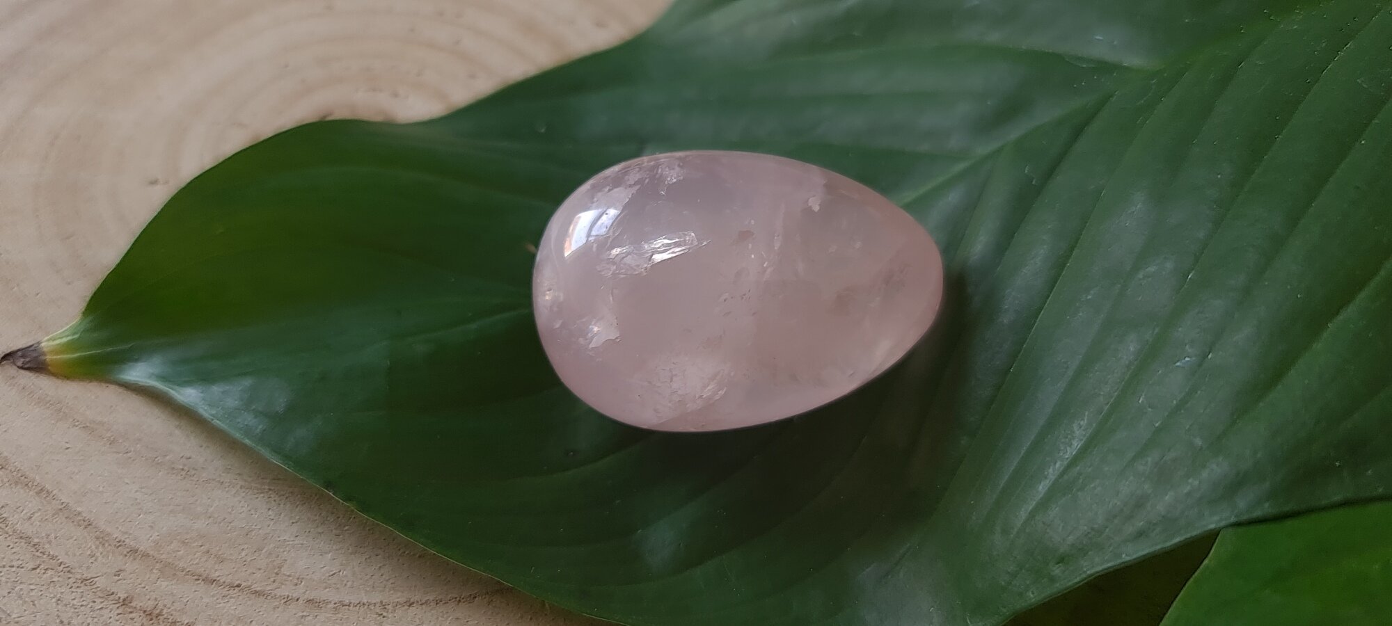 Rose Quartz Crystal Egg — Temple of Stone