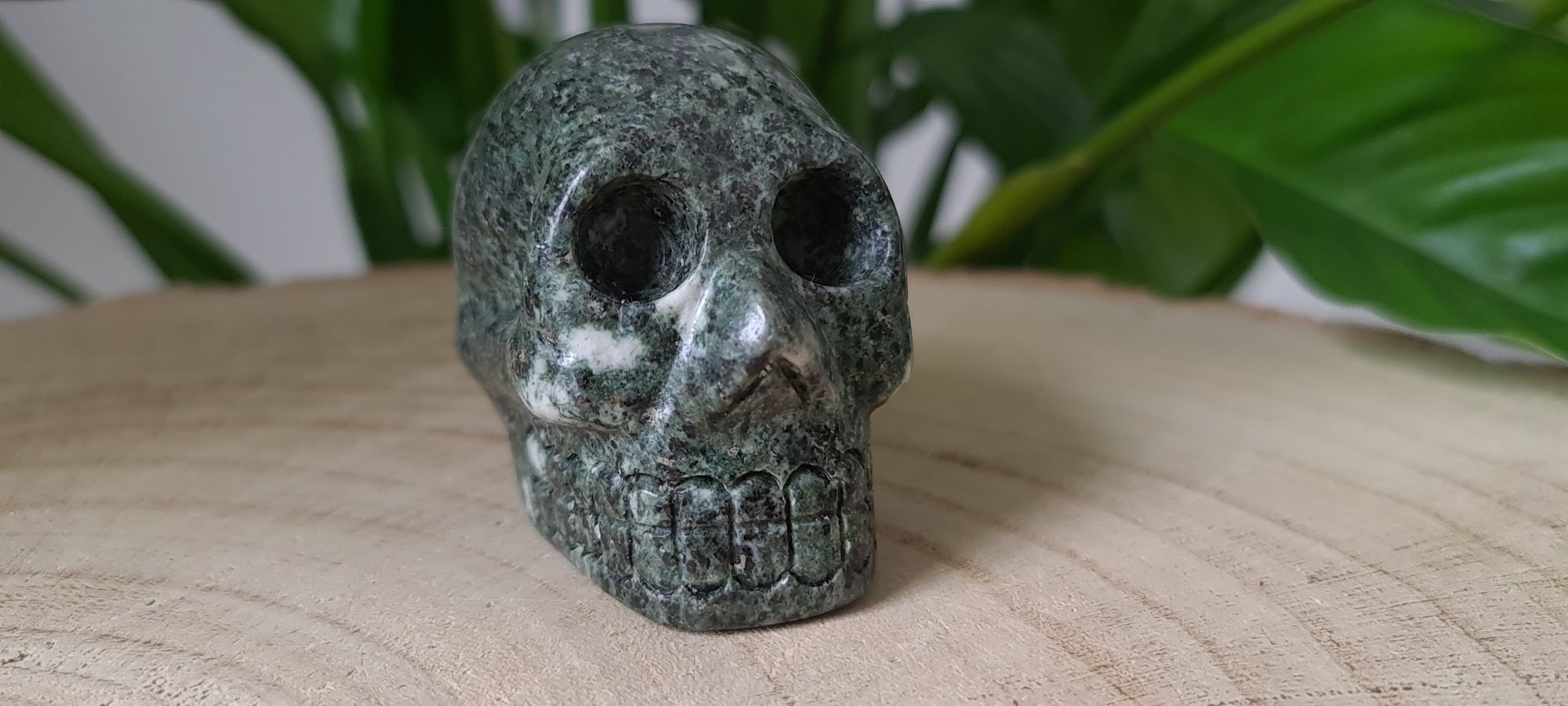 preseli-skull-1