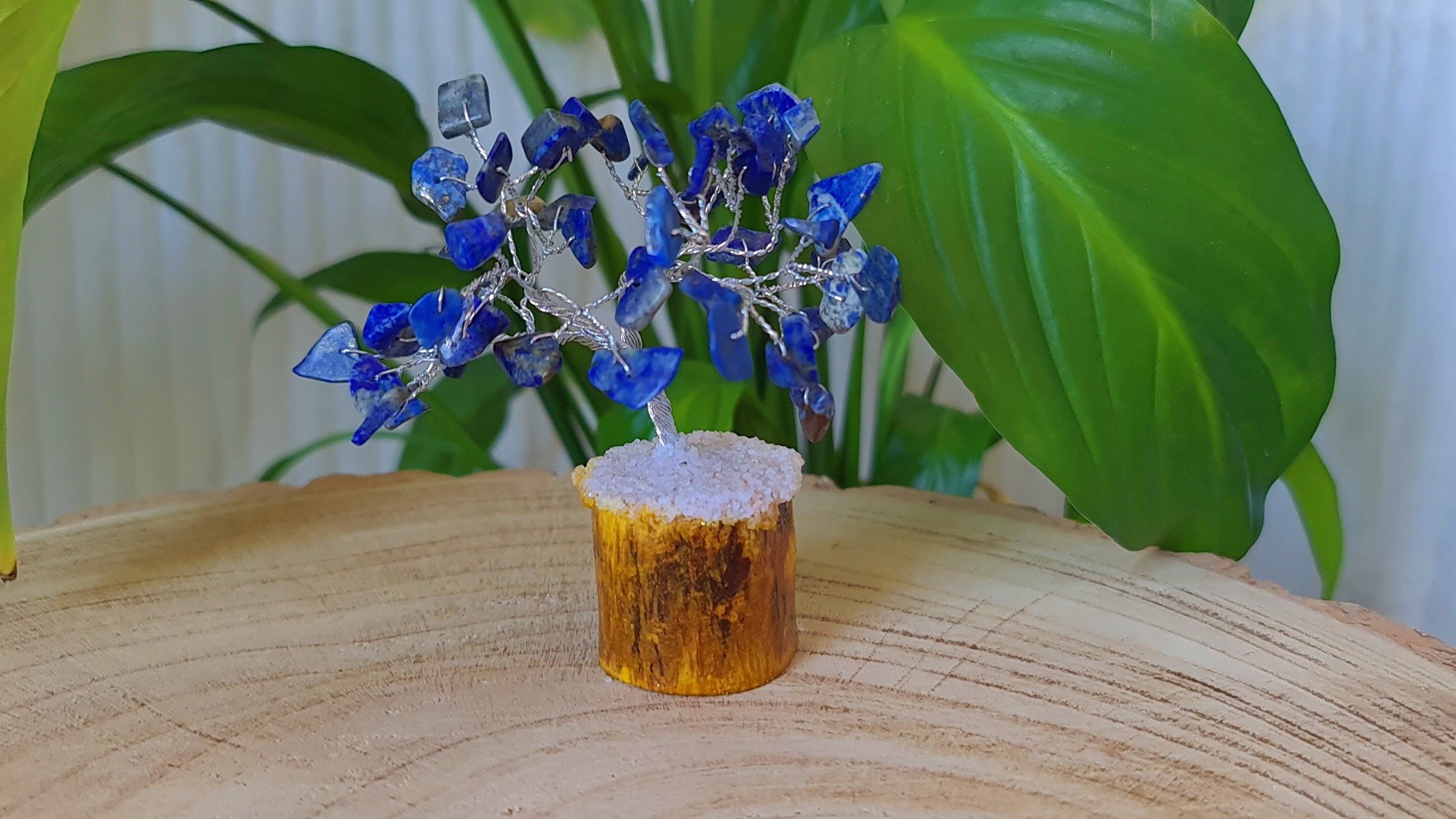 lapis-tree