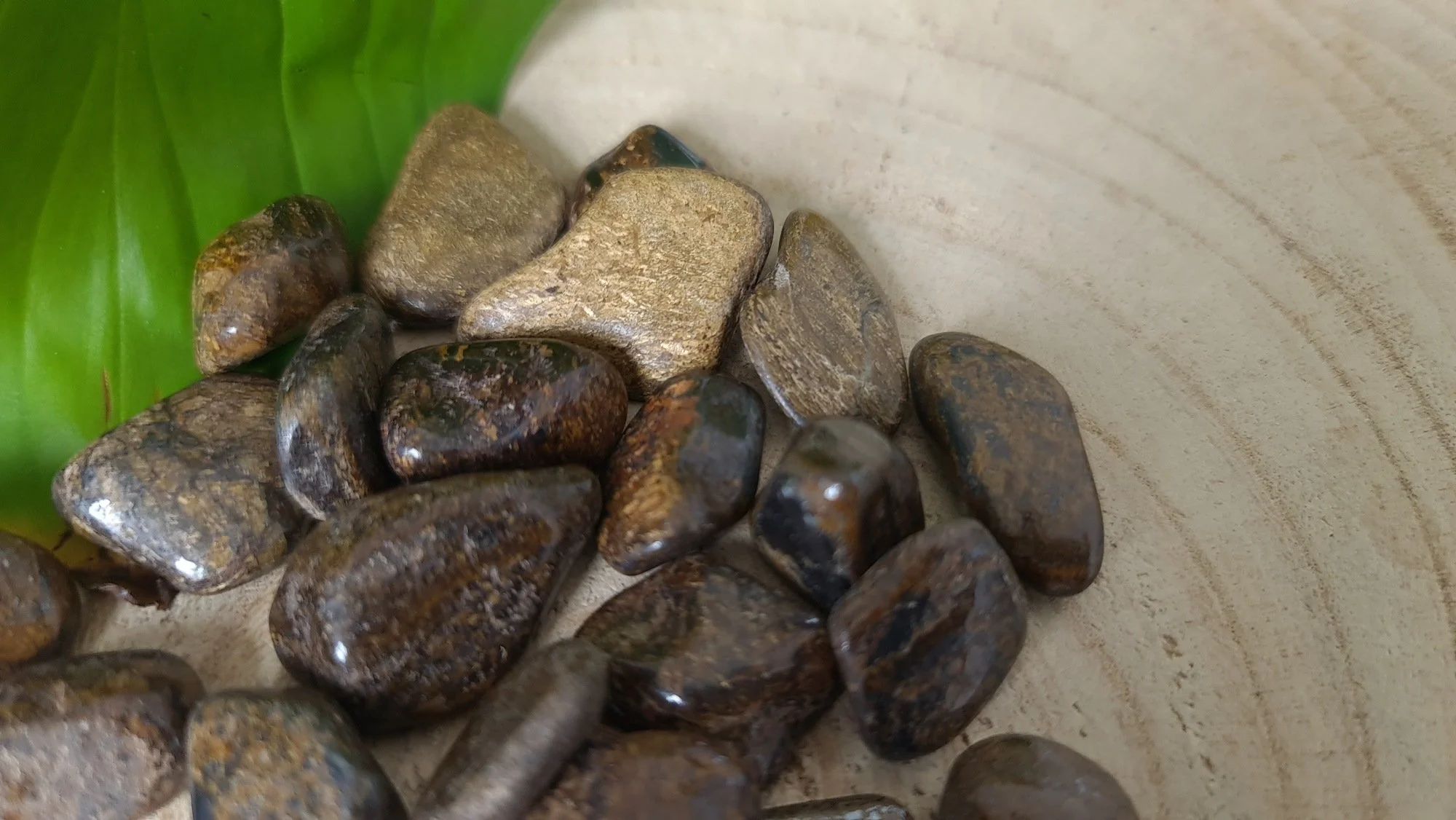 bronzite-1