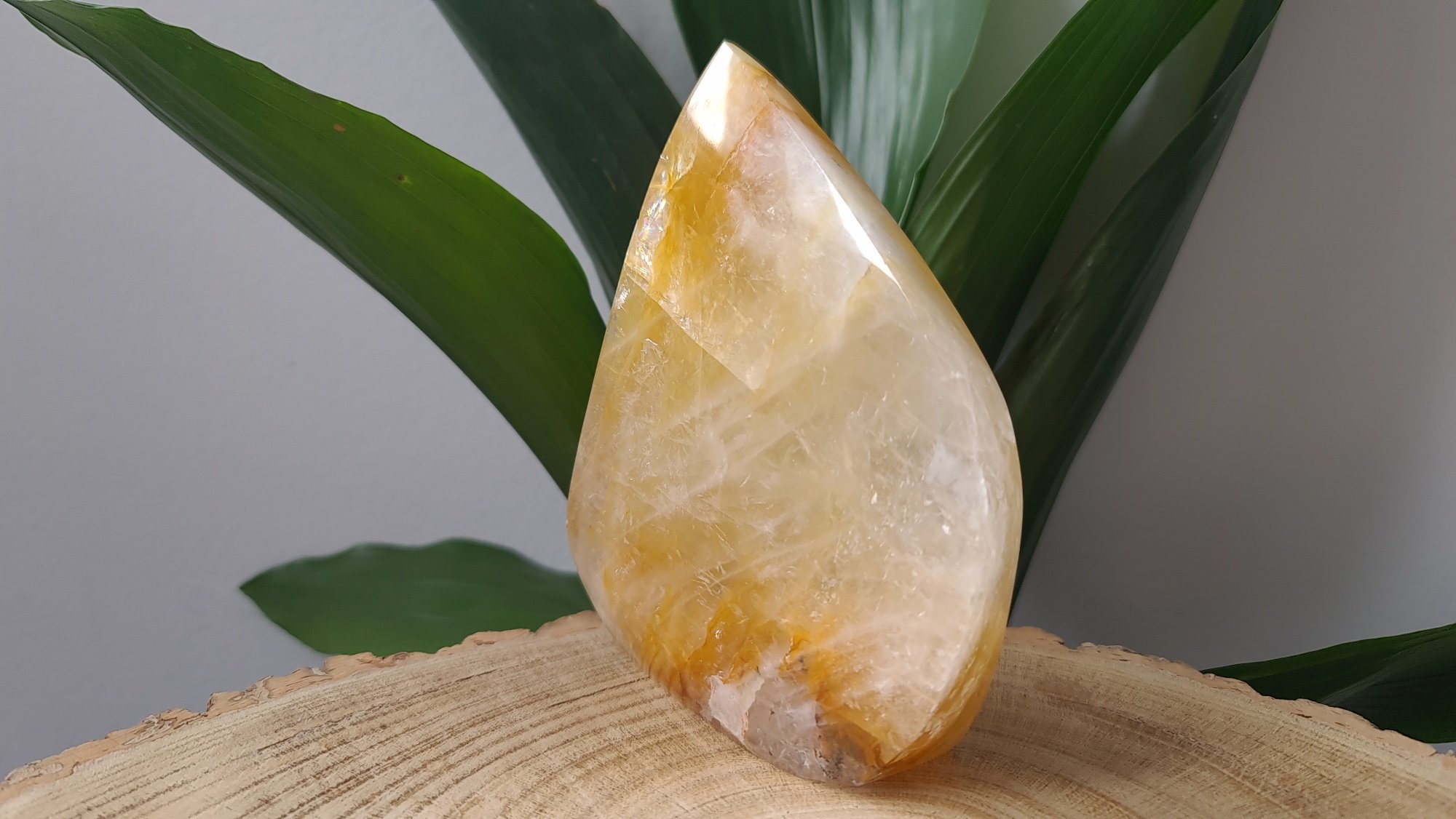 golden-healer-limonite