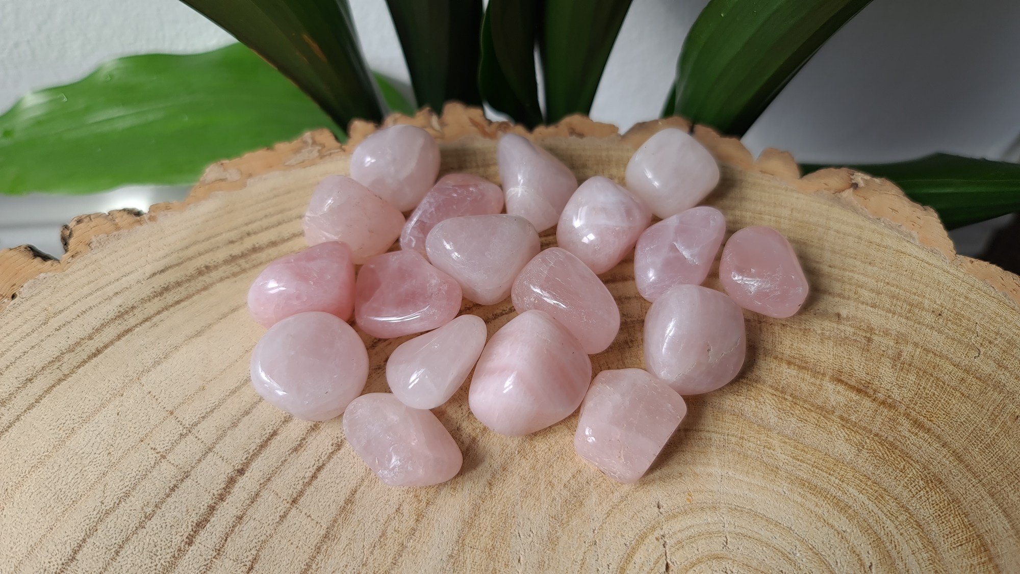 Rhodochrosite Tumblestone — Temple of Stone