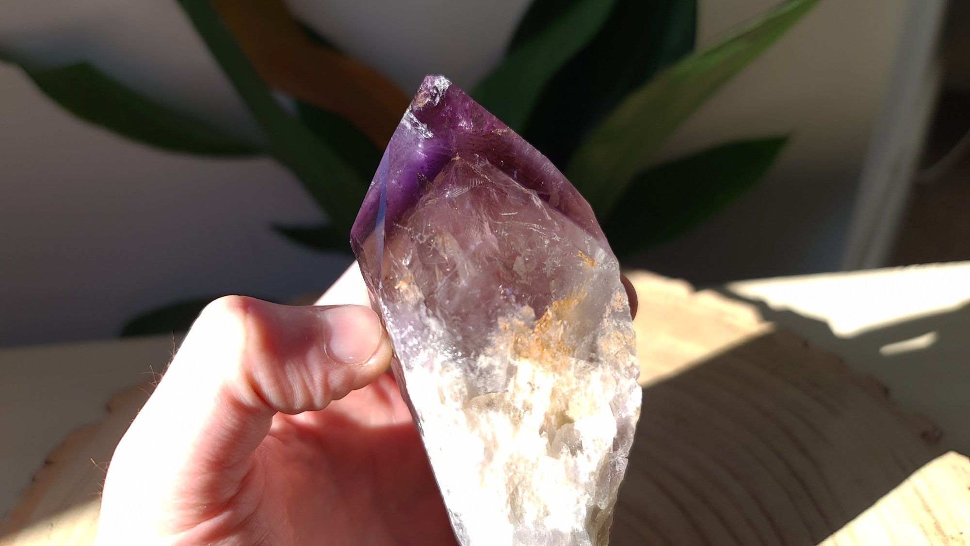 amethyst-root-5