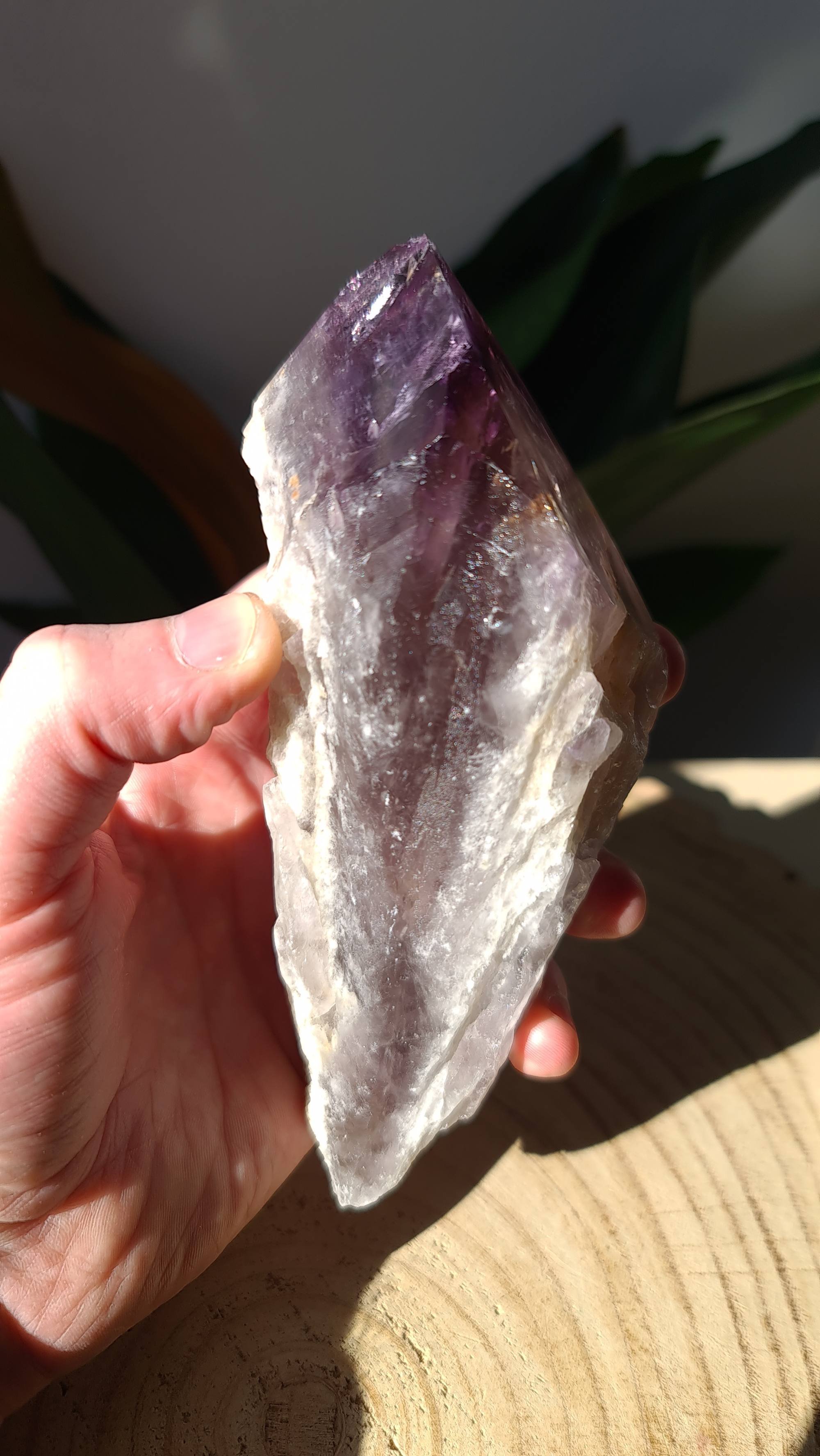 amethyst-root-6