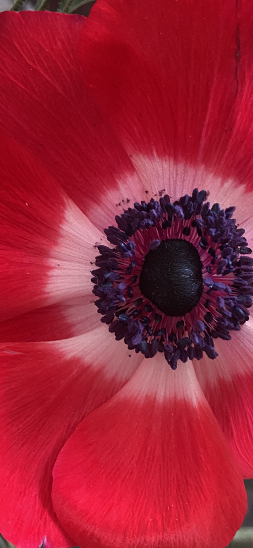 On se retrouve à Montmartre ?