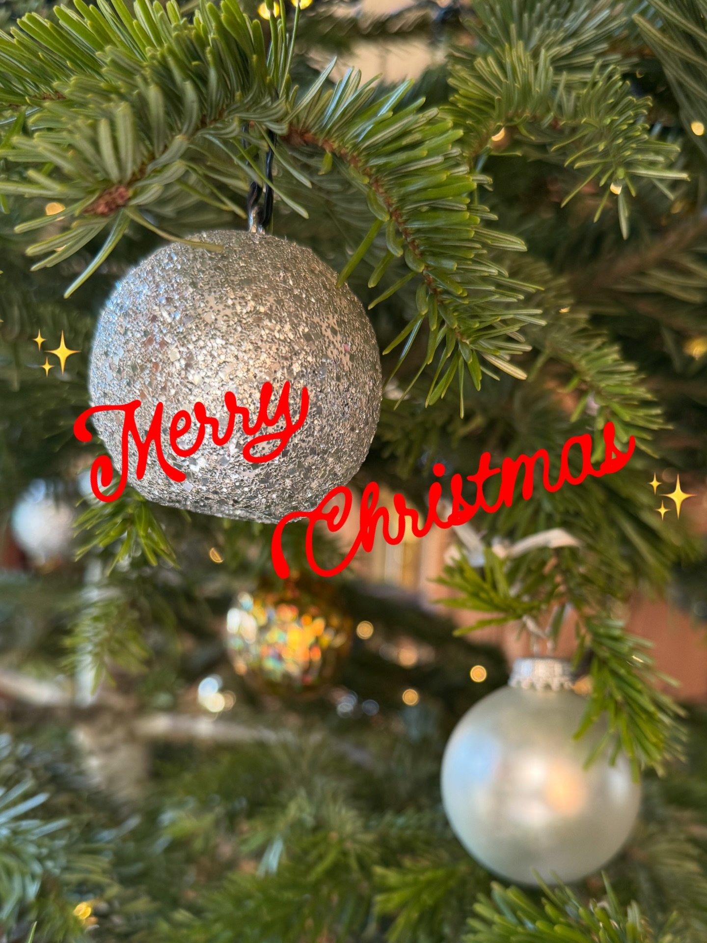 ✨Joyeux No&euml;l ✨
✨Merry Christmas ✨
✨Bon Nadal✨
✨Feliz Navidad ✨