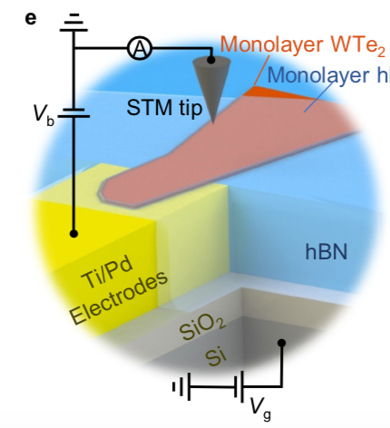 Monolayer excitonic insulator 