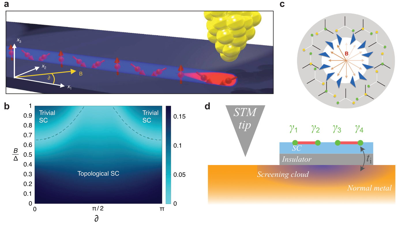 Detecting and Distinguishing Majorana Zero Modes with the STM just appeared in Nature Reviews Physics!