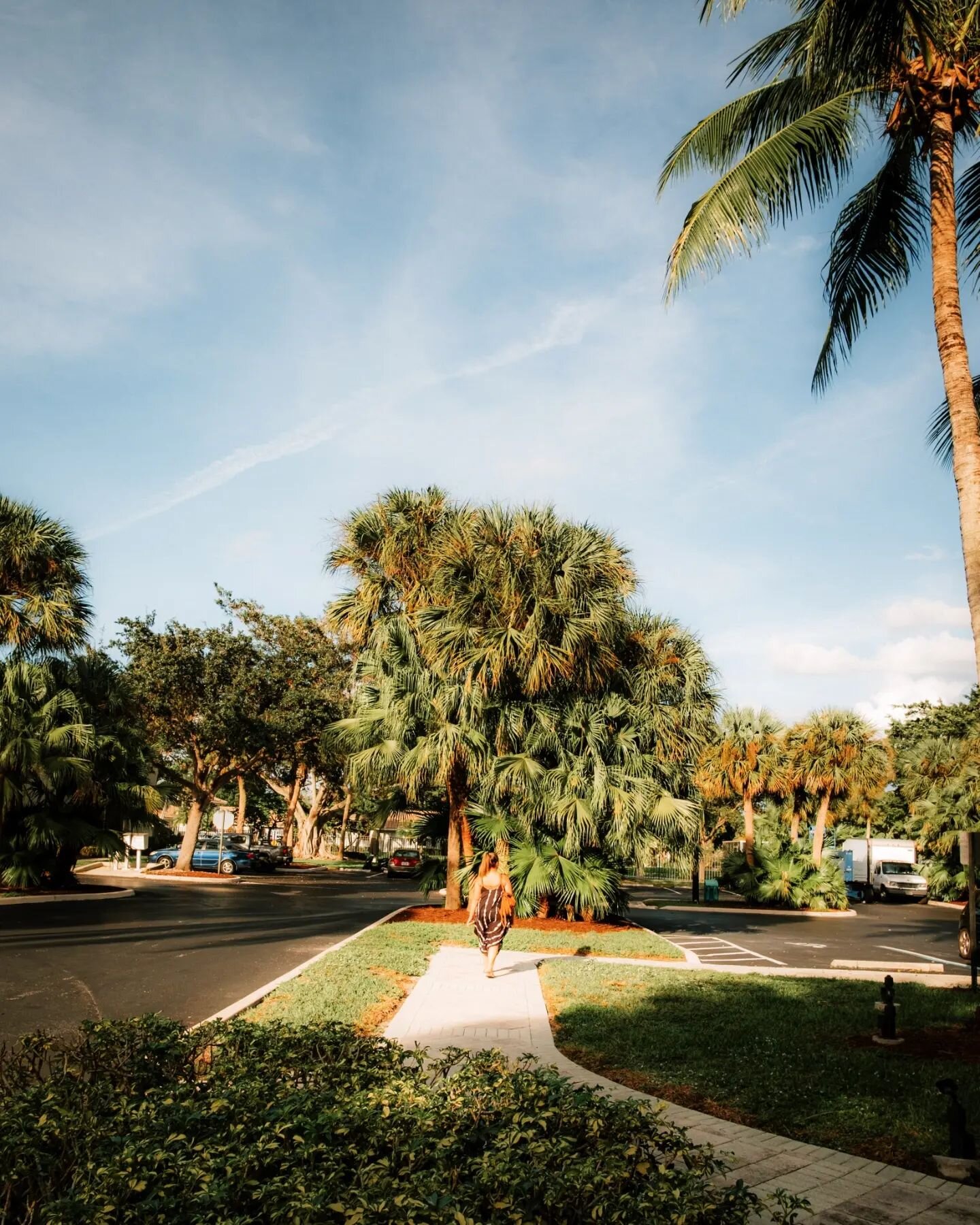 Palm Trees for shade.

Not that I subscribe to the always hustle culture but travel is the success I have to hustle for.

#travel #palmtrees #florida #photographer #travelphotography #hustlequotes