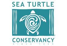 Sea Turtle Conservancy.jpg
