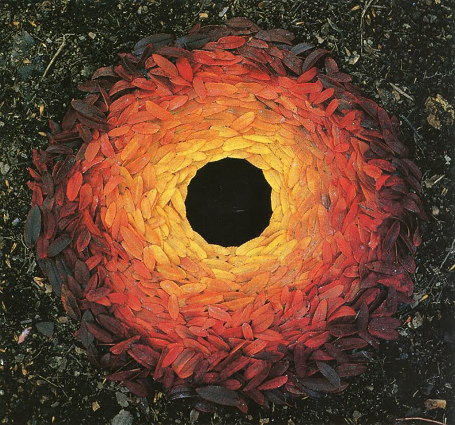 ANDY GOLDSWORTHY