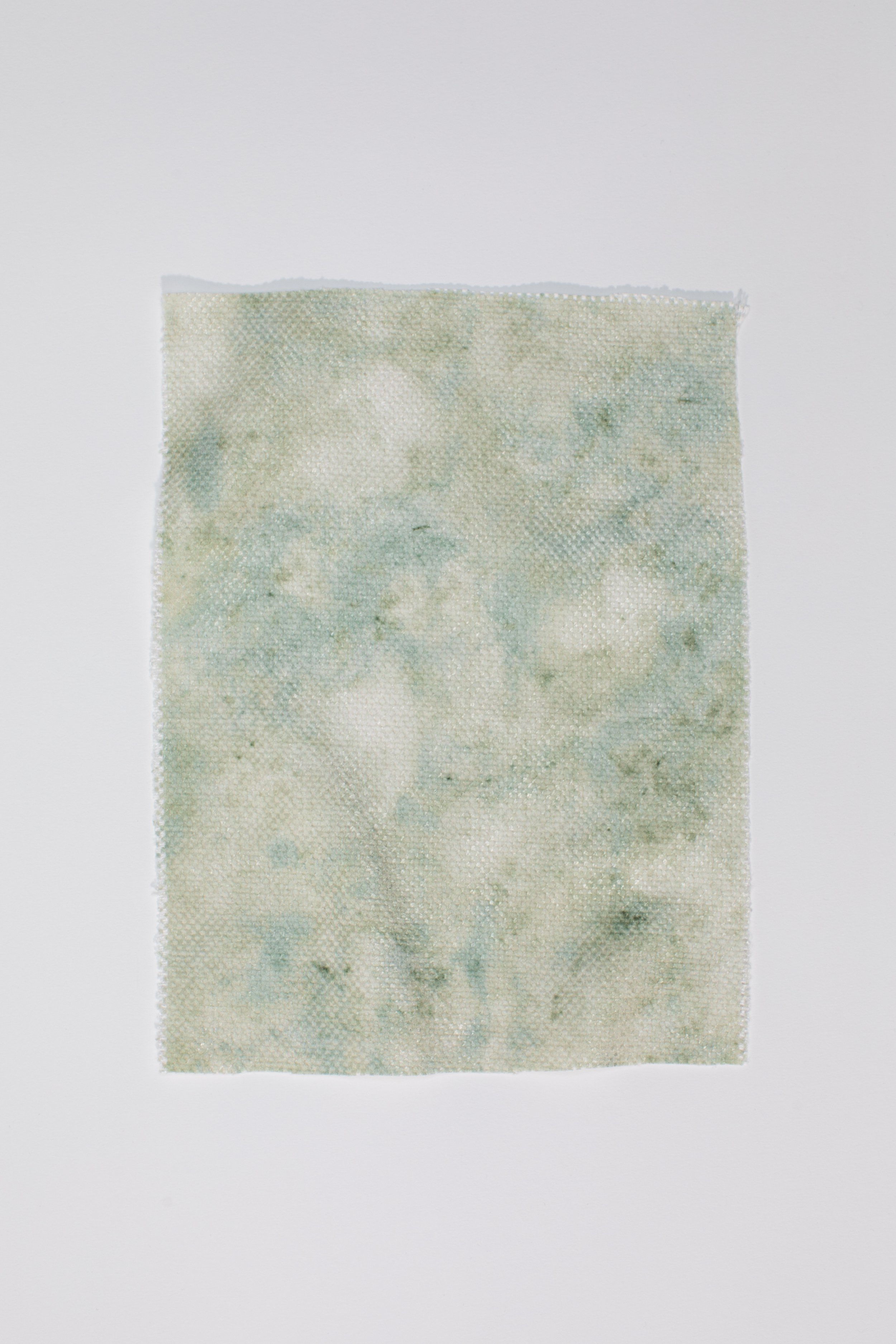 Printed-Performace-Fabric-Dawn-Spring-Green-01.jpg