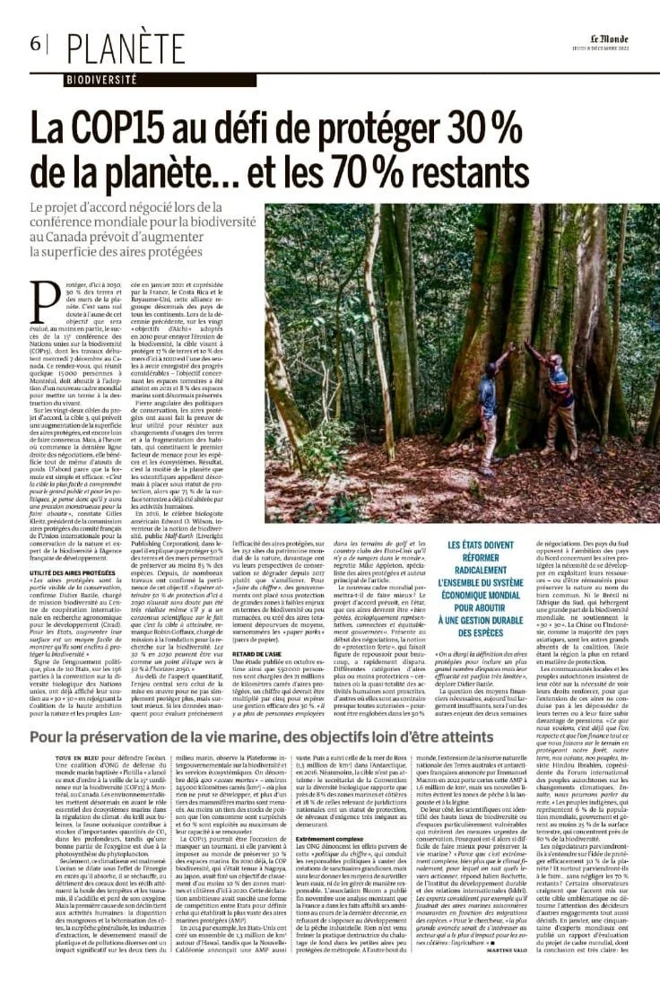 WhatsApp Image 2022-12-07 at 14.44.29.jpeg