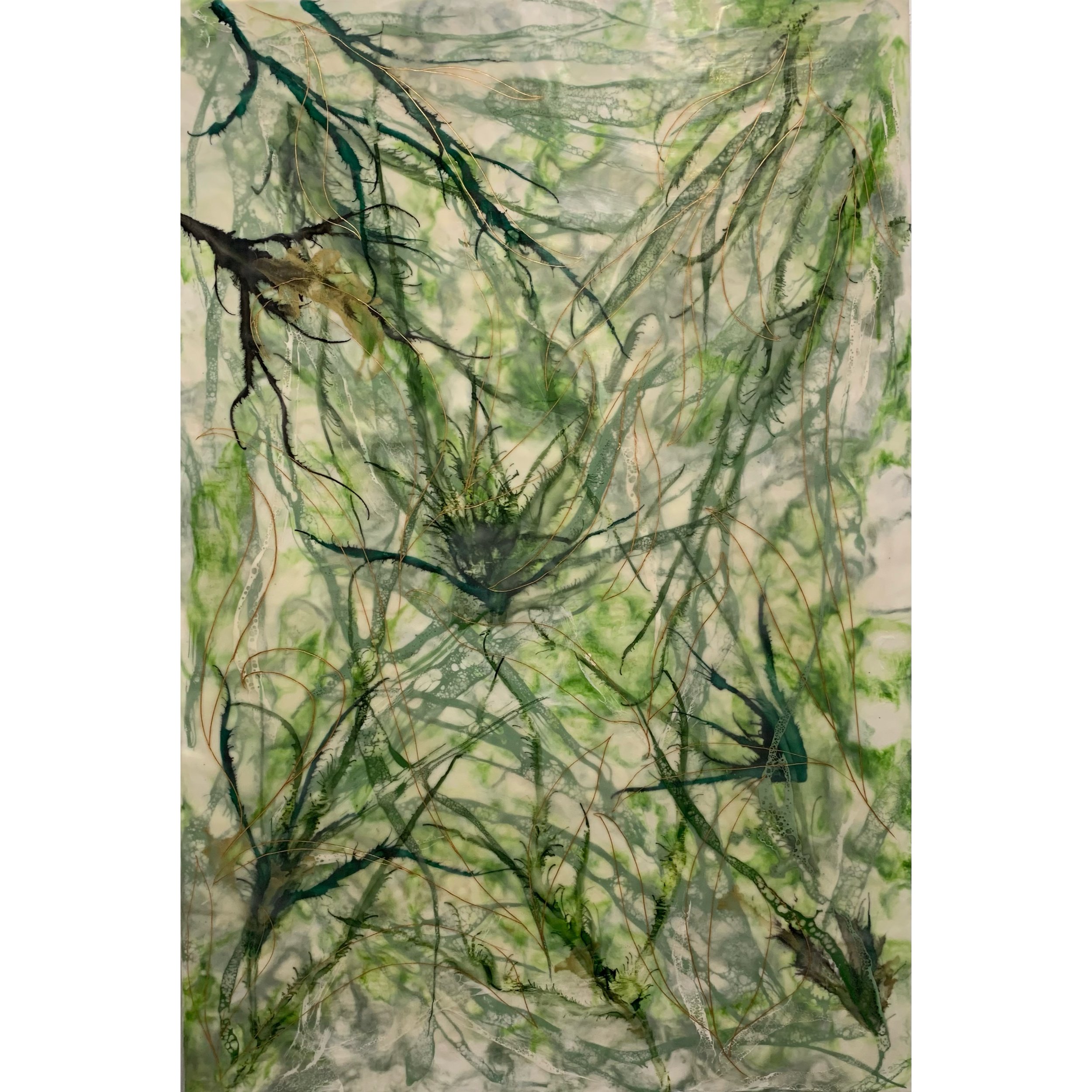 plant family; encaustic, shellac, pigment, ink and oil stick on wood, 24 x 36 inches