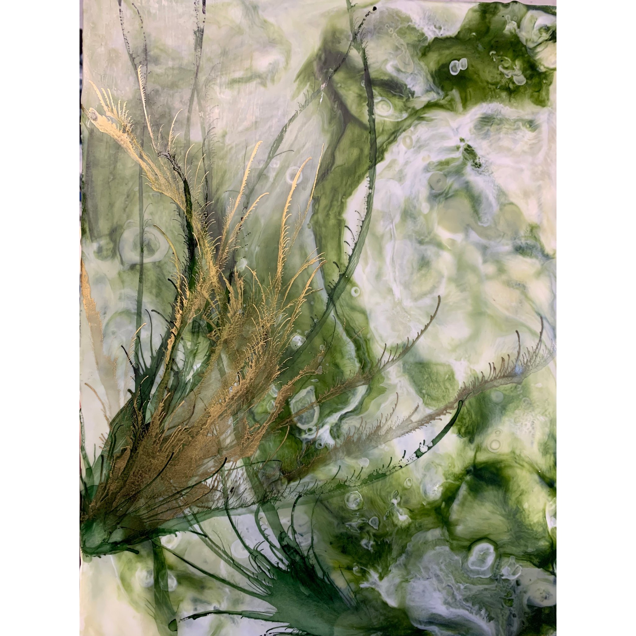 botanical; encaustic, ink and pigment on wood, 9 x 12 inches