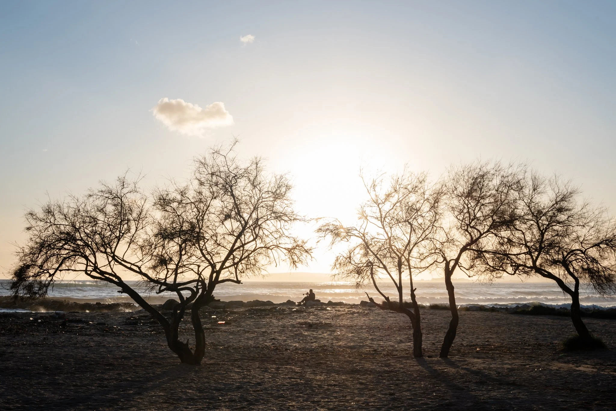 Diary entry #001: Evening and sunrise walk with my vintage Canon lens in El Molinar