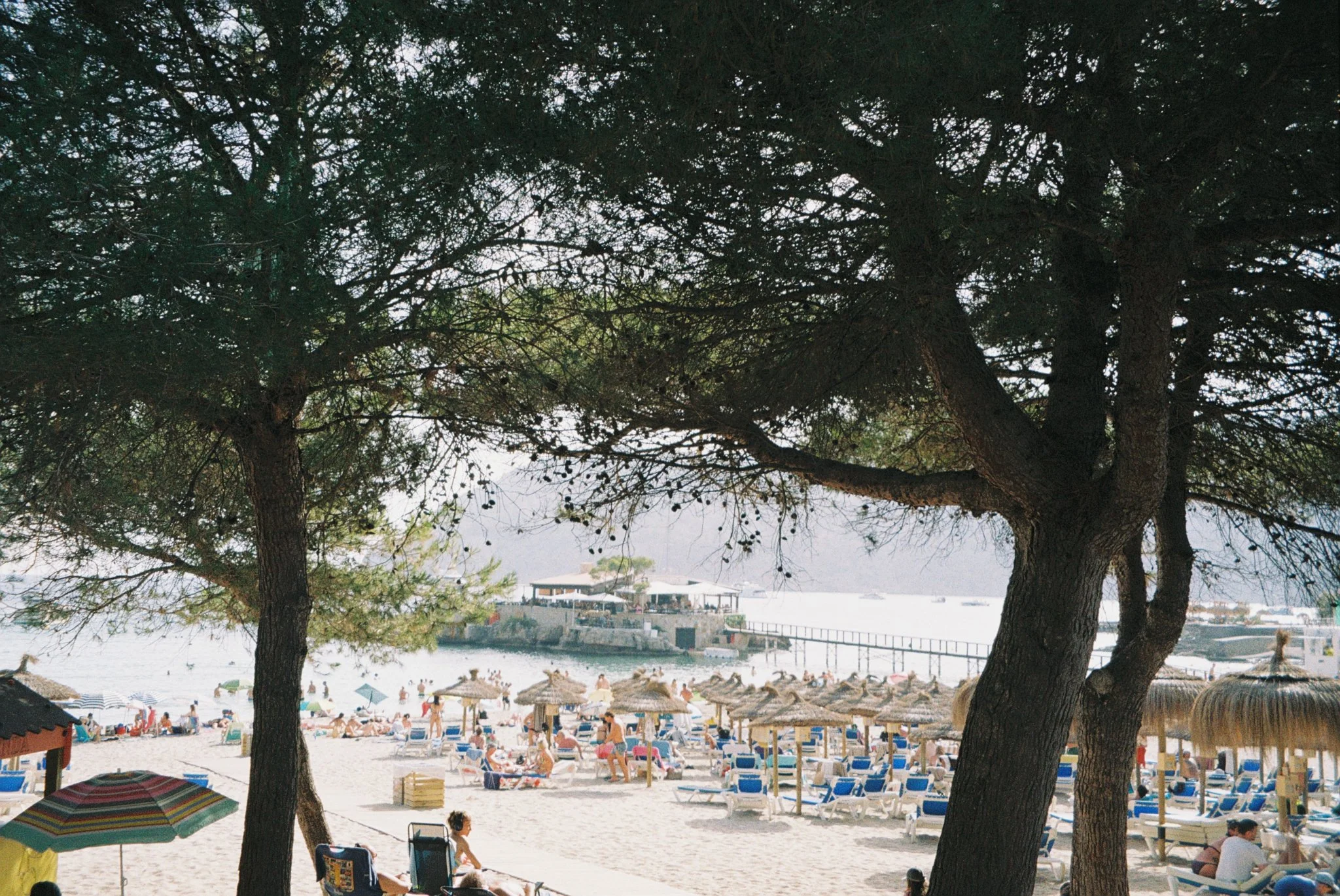 wedding-analog-film-photography-finca-biniorella-21R1-07399-0002.jpg